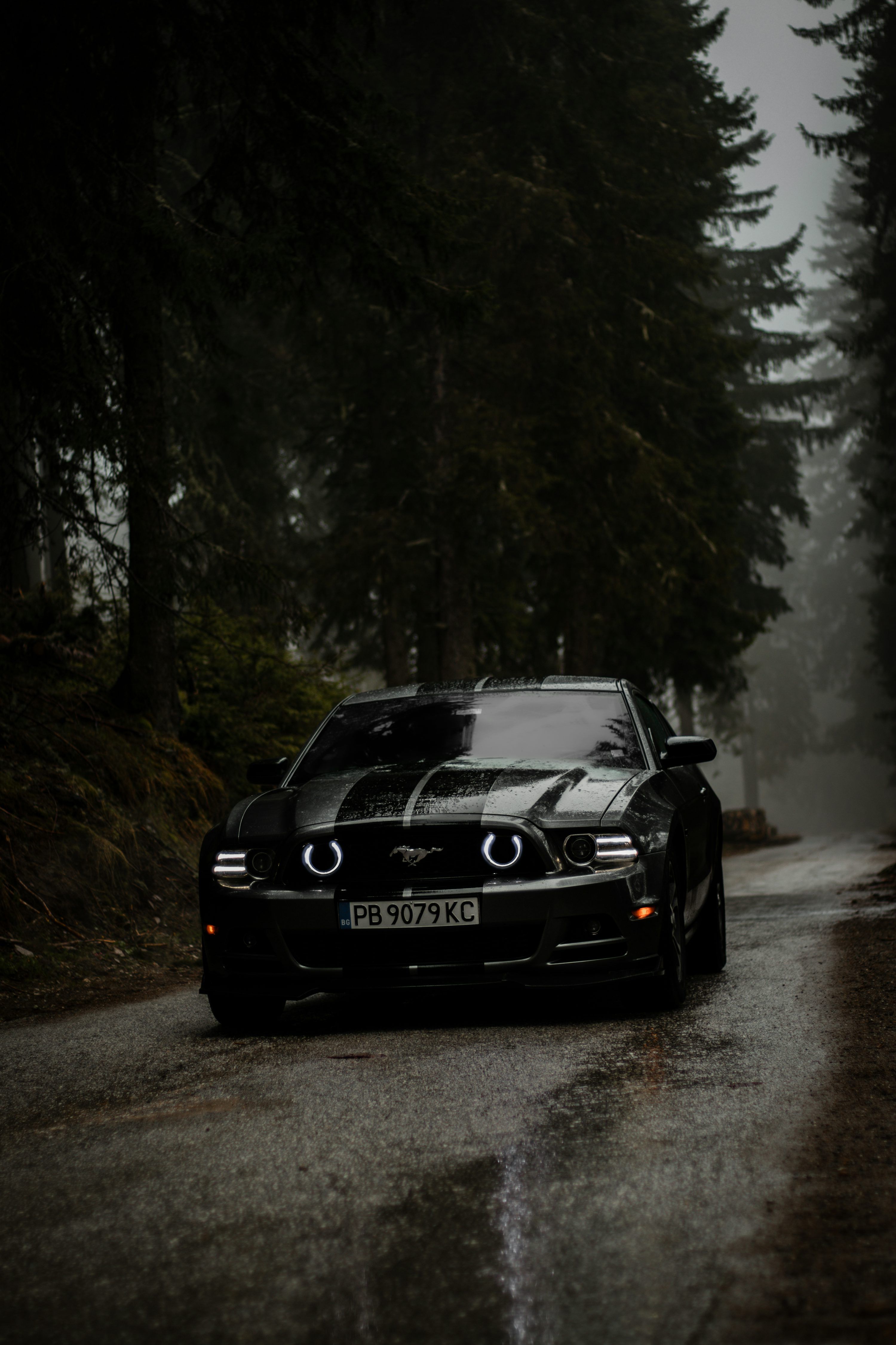 3000x4500 Mustang Wallpaper: Free HD Download [4K]