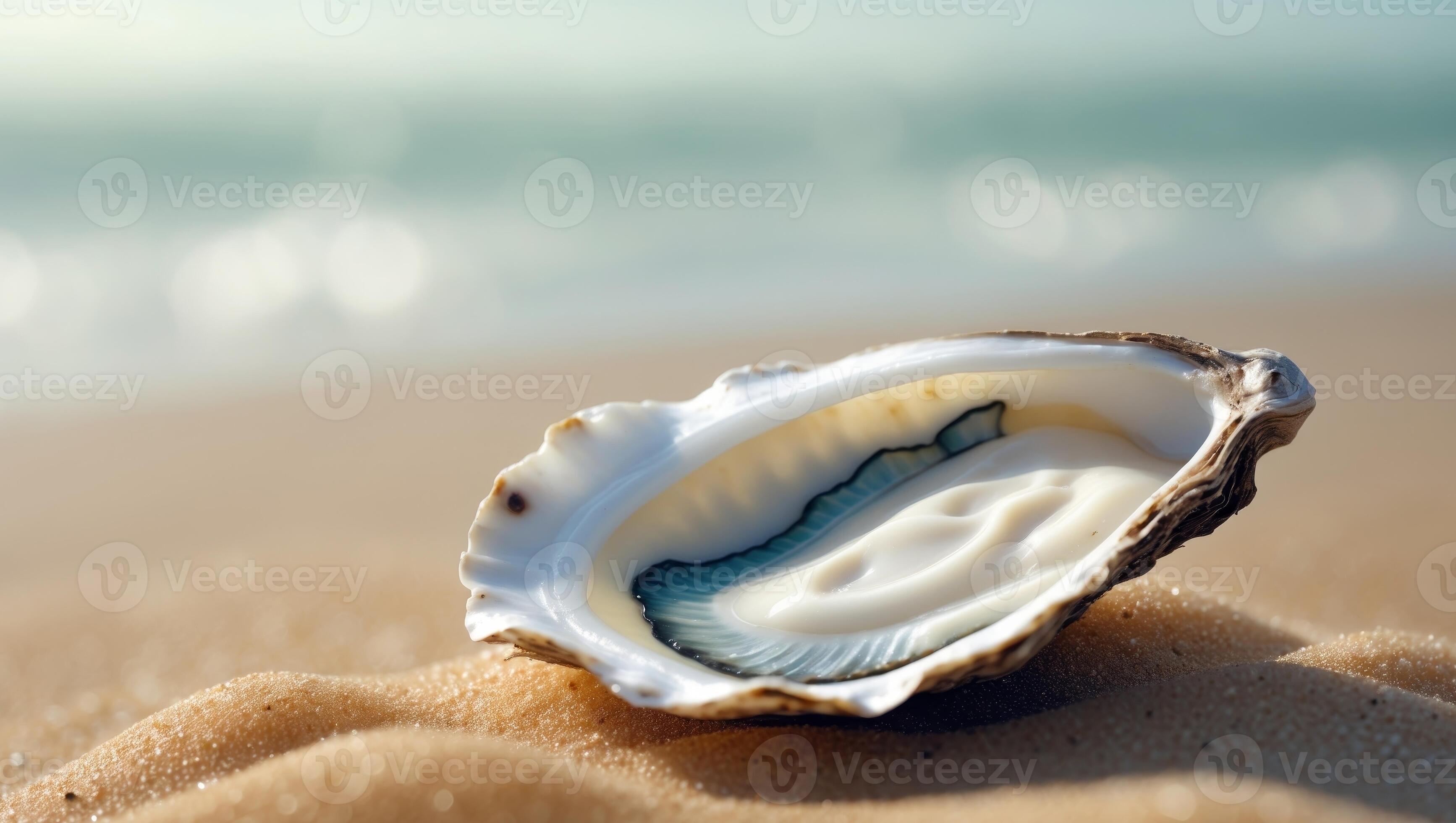3468x1960 Open oyster with pearl inside laying on beach sand sea shore wallpaper background