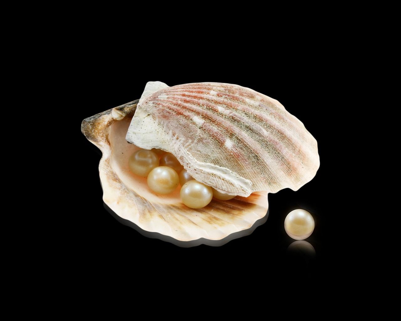 1280x1024 Oyster Pearls Seashells