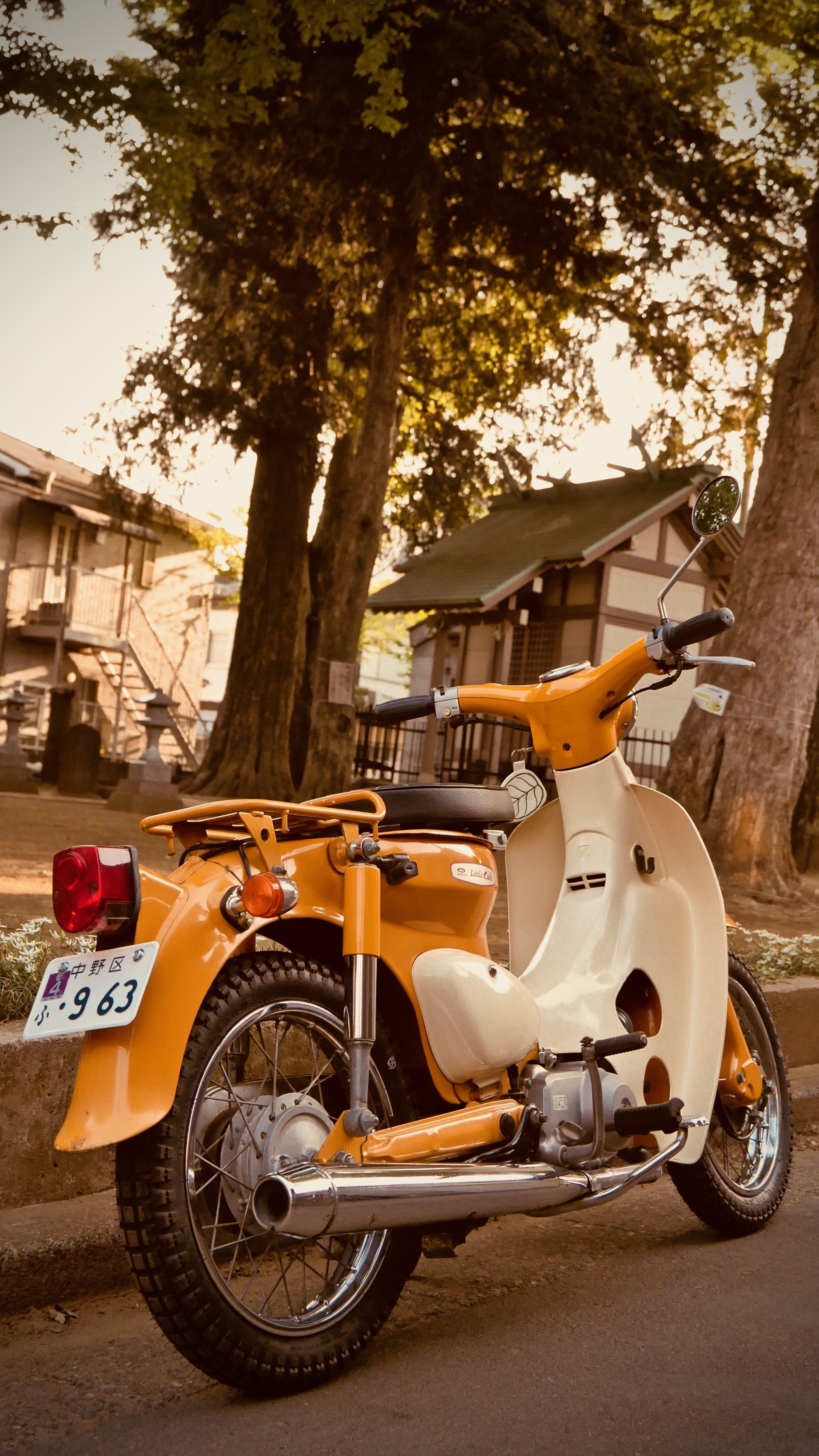 2451x4357 Honda C70 Wallpaper