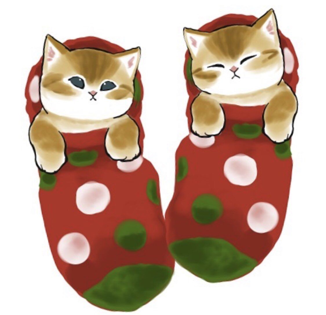 1125x1087 cats / Posts / X