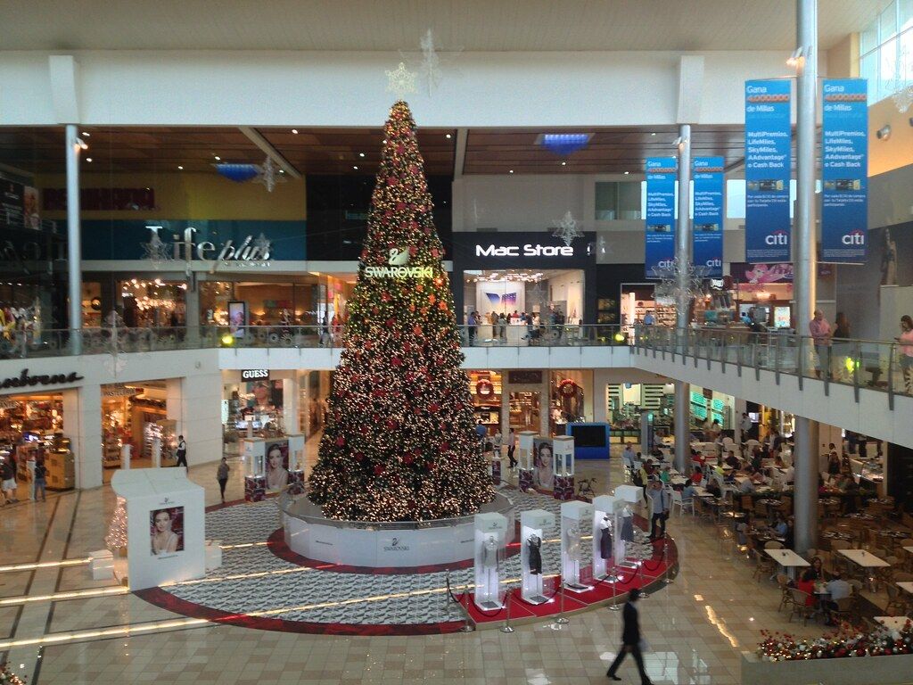 1024x768 IMG_1837