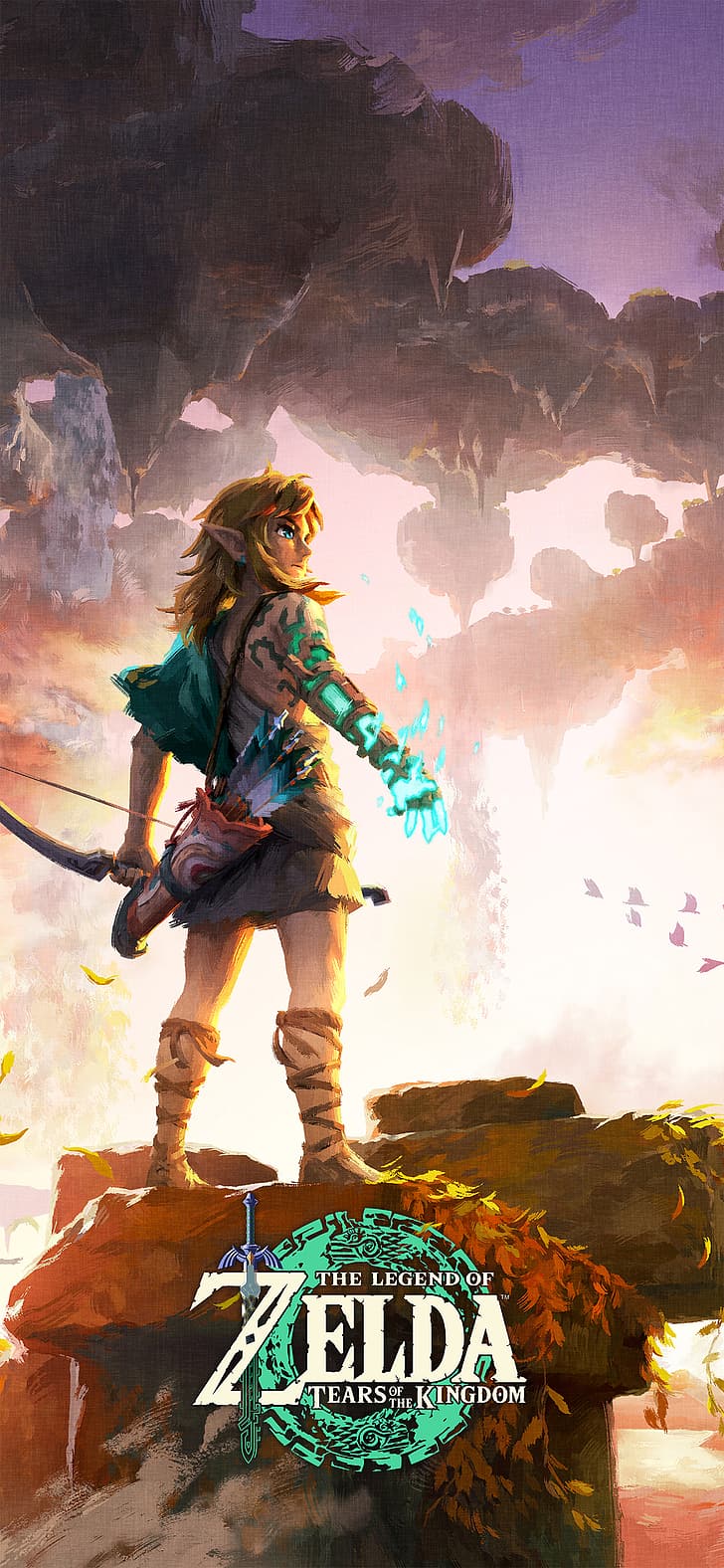 728x1576 HD wallpaper: Zelda, The Legend of Zelda: Tears of the Kingdom, Link, Nintendo