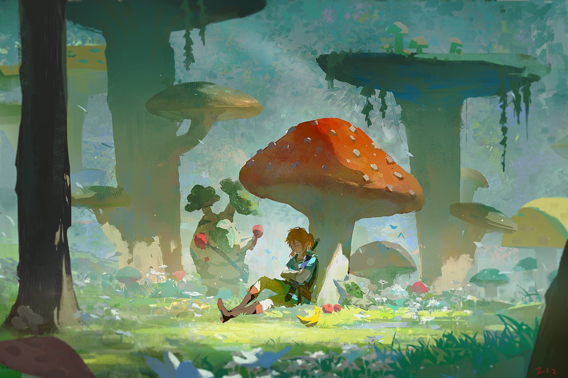 1920x1280 Link's Mushroom Meadow