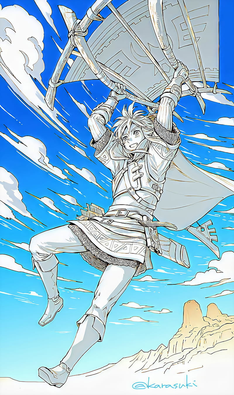 800x1353 The Legend of Zelda, botw, game, karasuki, link, nintendo, HD phone wallpaper