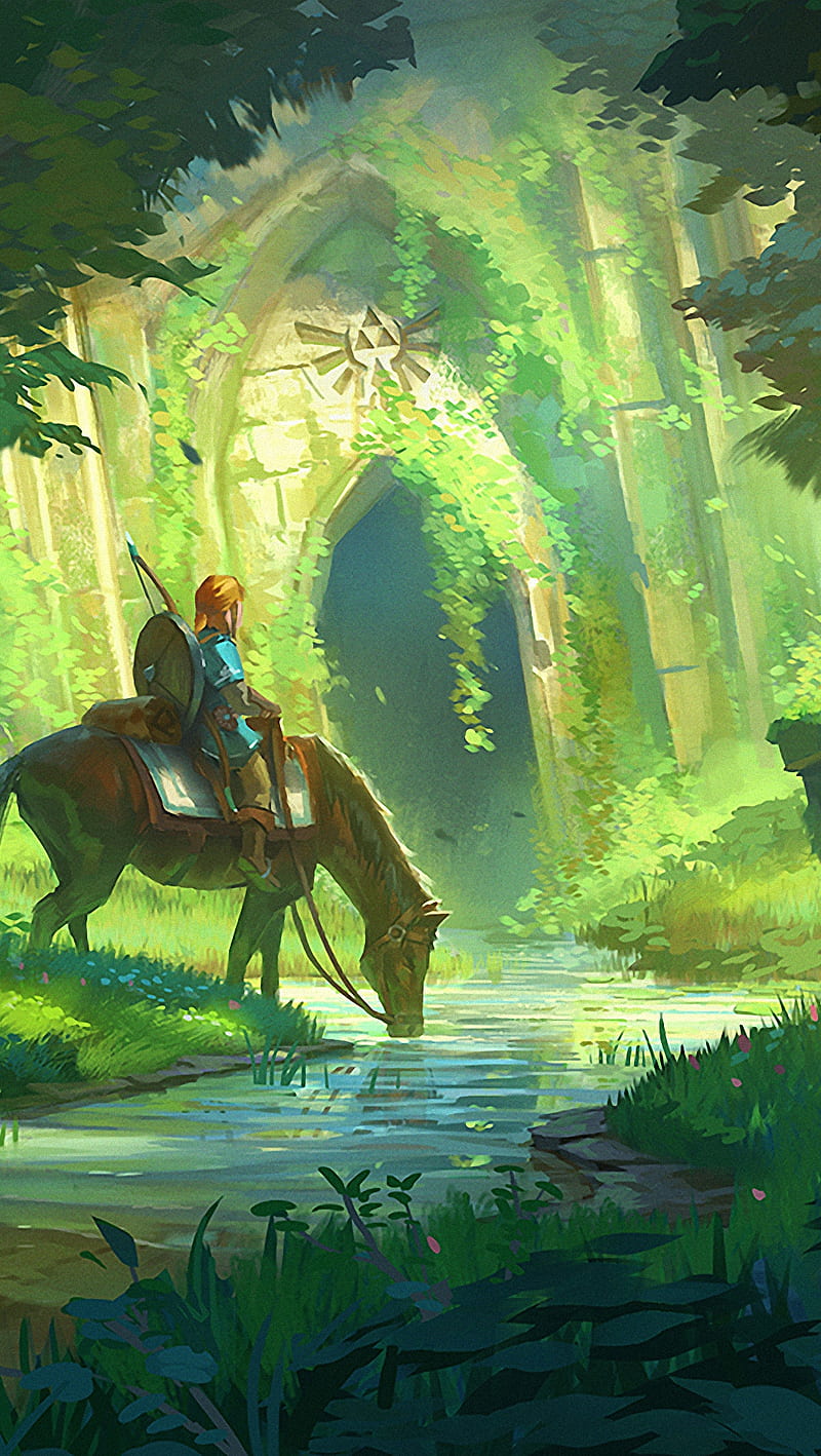 800x1418 Zelda Botw, breath, legend, link, wild, HD phone wallpaper