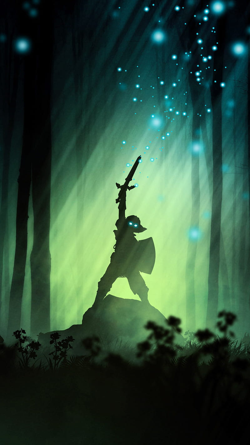 800x1422 Link, legend of zelda, nintendo, HD phone wallpaper