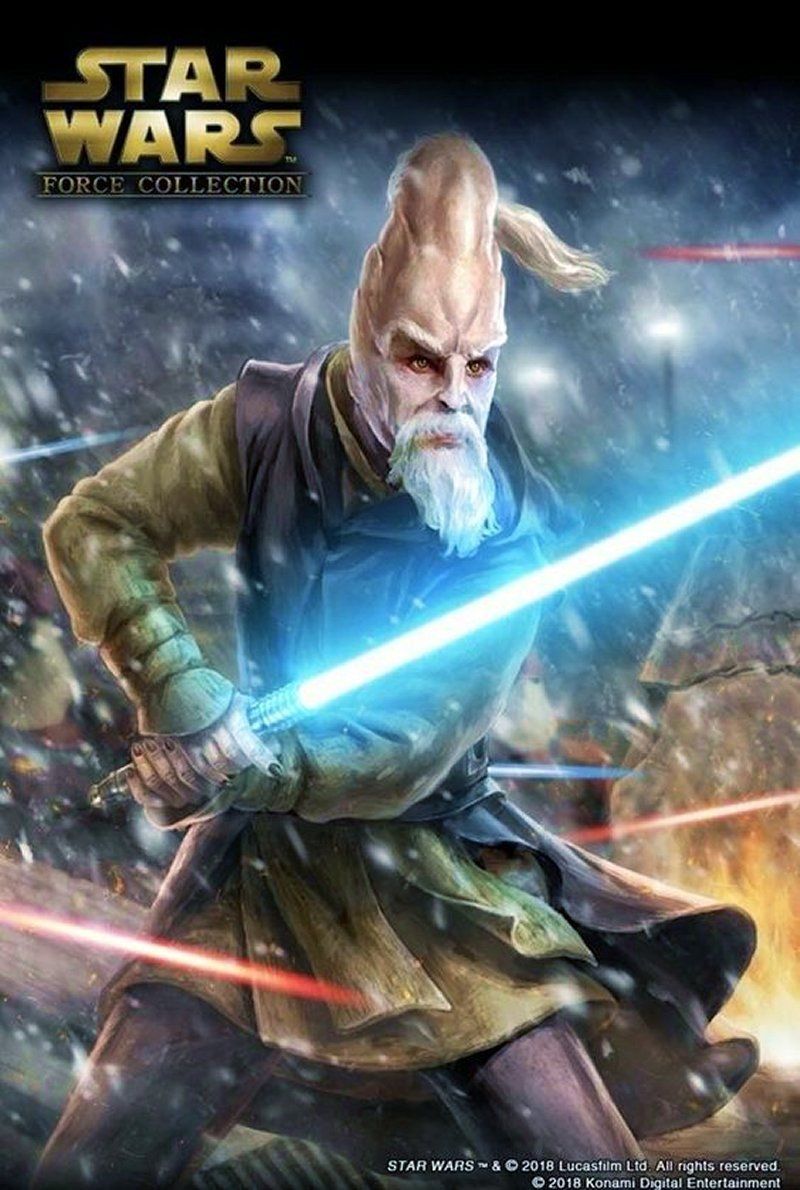 800x1190 Star Wars Collection