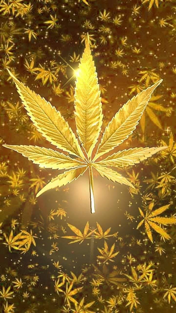 720x1280 Gold Kush wallpaper