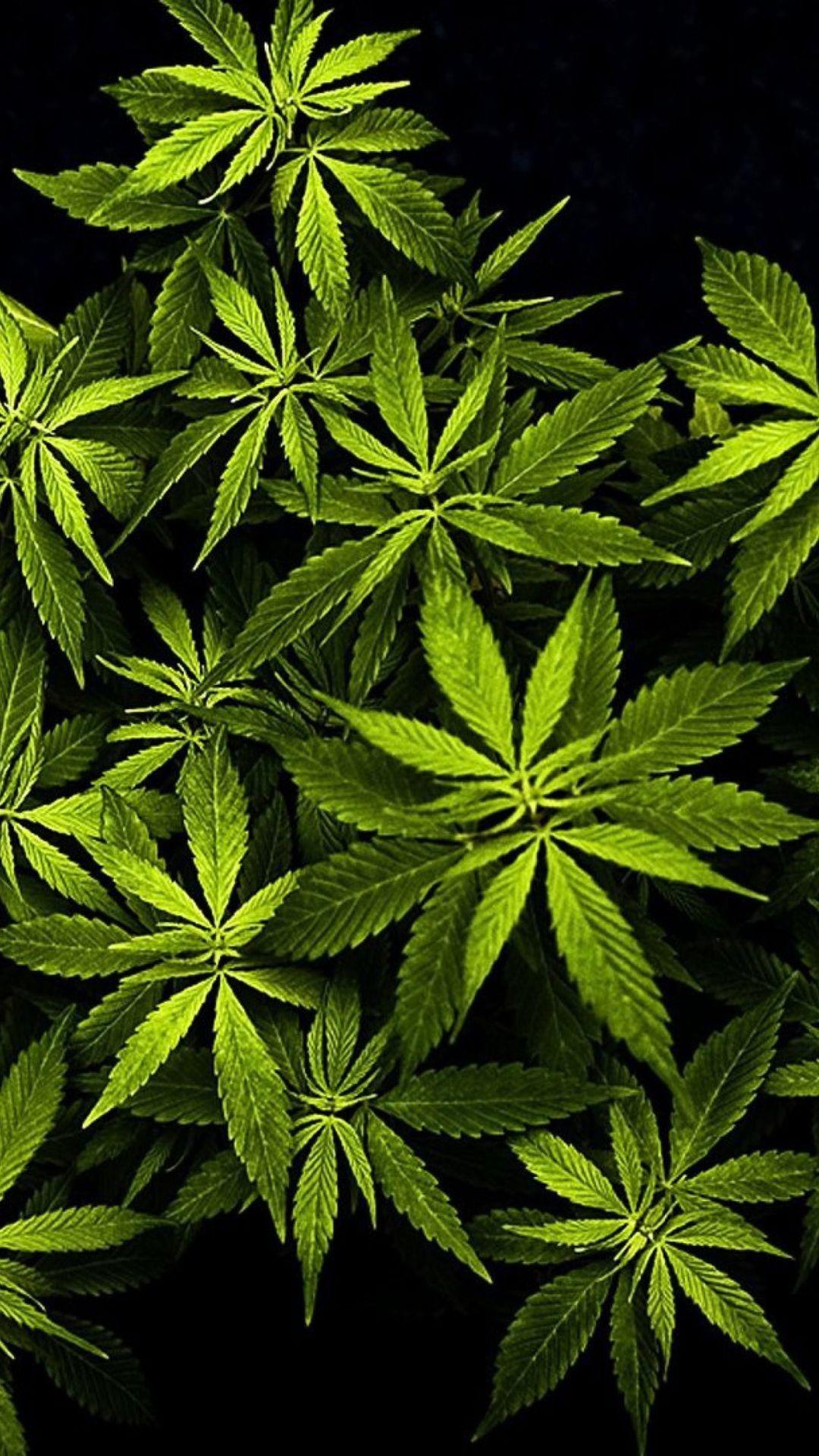 1080x1920 Wallpaper Marijuana