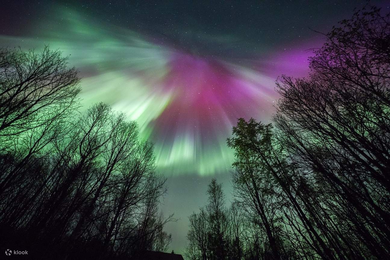 1295x863 Tromso Northern Lights Guided Tour