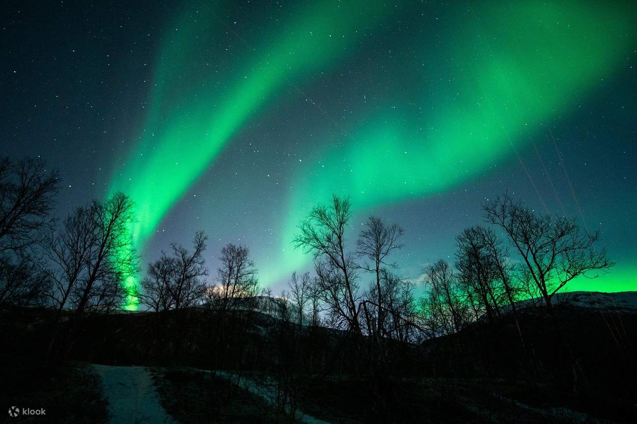 1295x863 Tromso Northern Lights Guided Tour