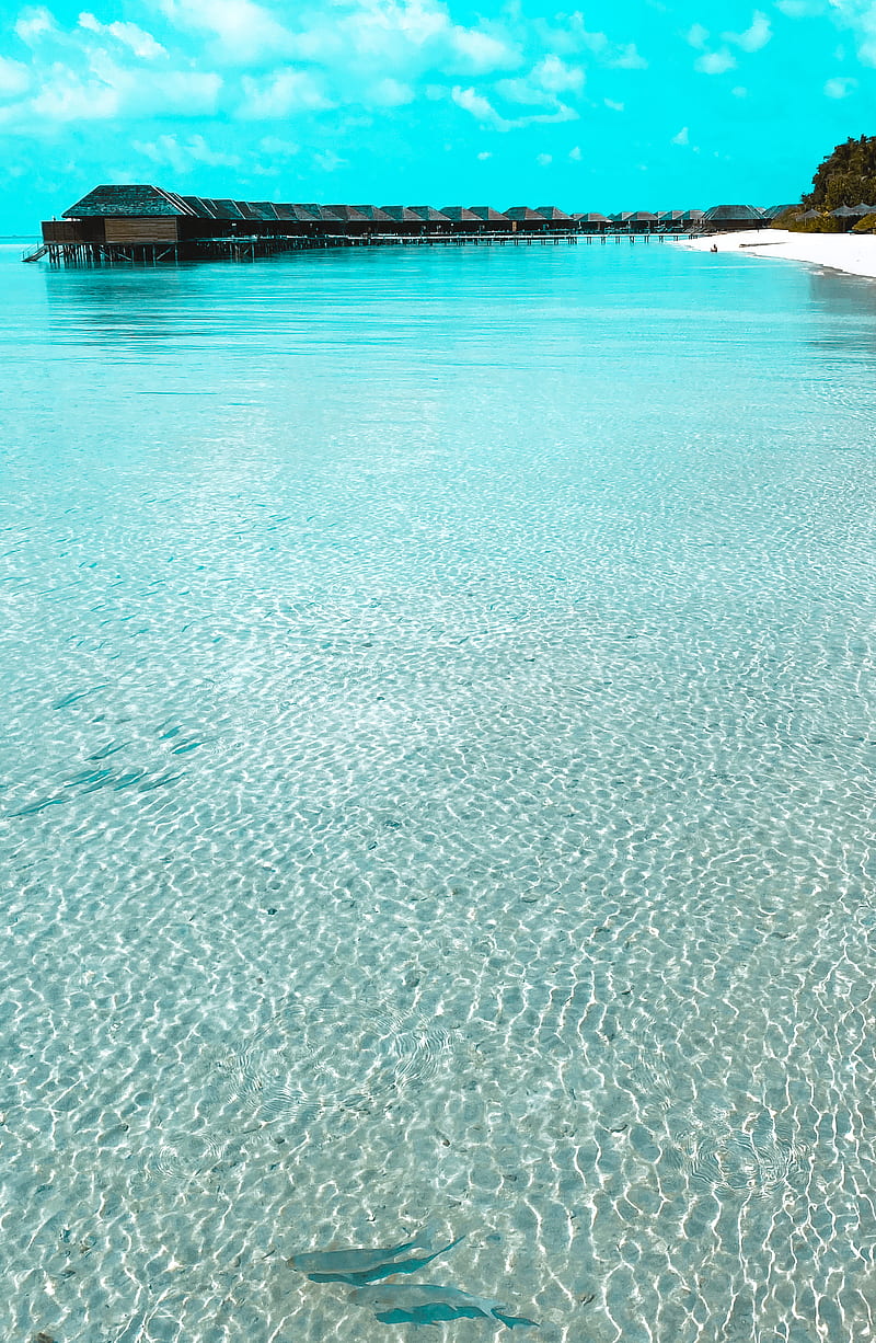 800x1226 HD maldives water villa wallpaper