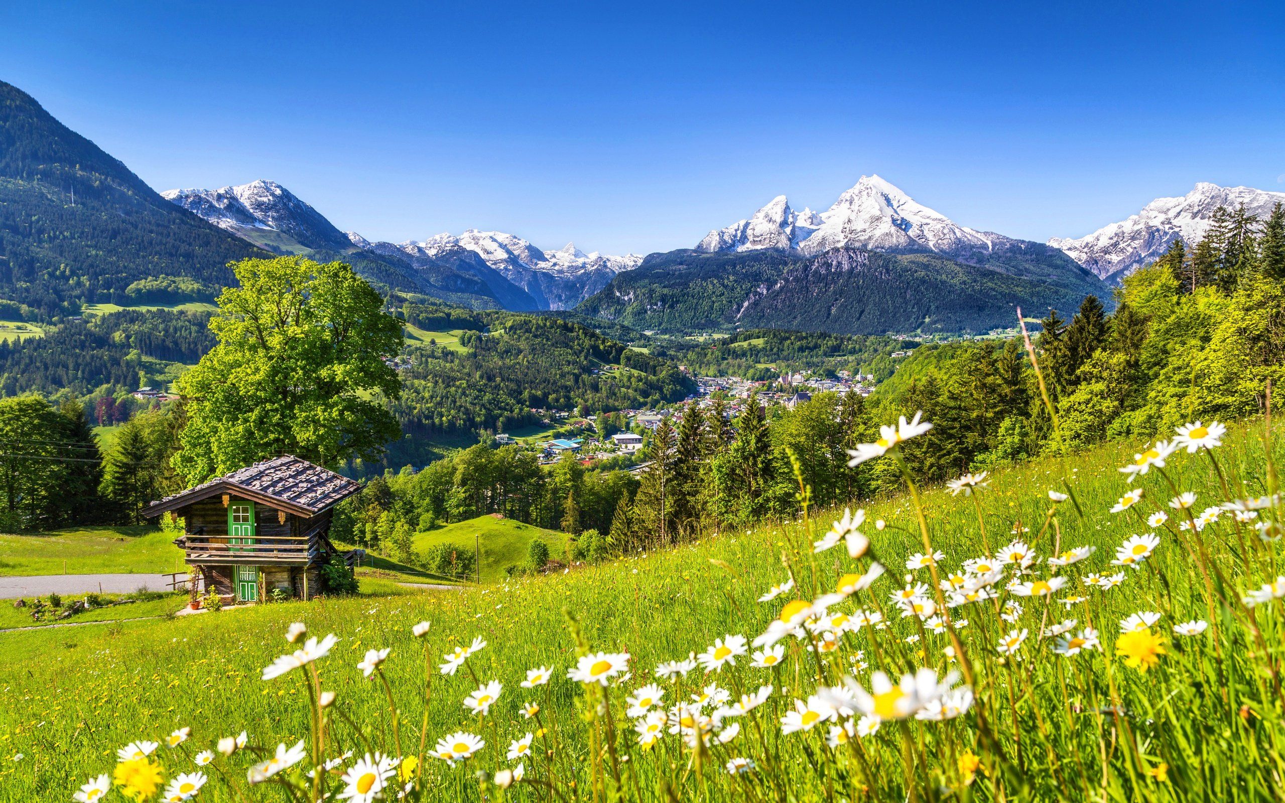 2560x1600 house, Road, Rock, Spring, Path, Forest, Mountain, Sky, Trees, Nature Wallpaper HD / Desktop and Mobile Background