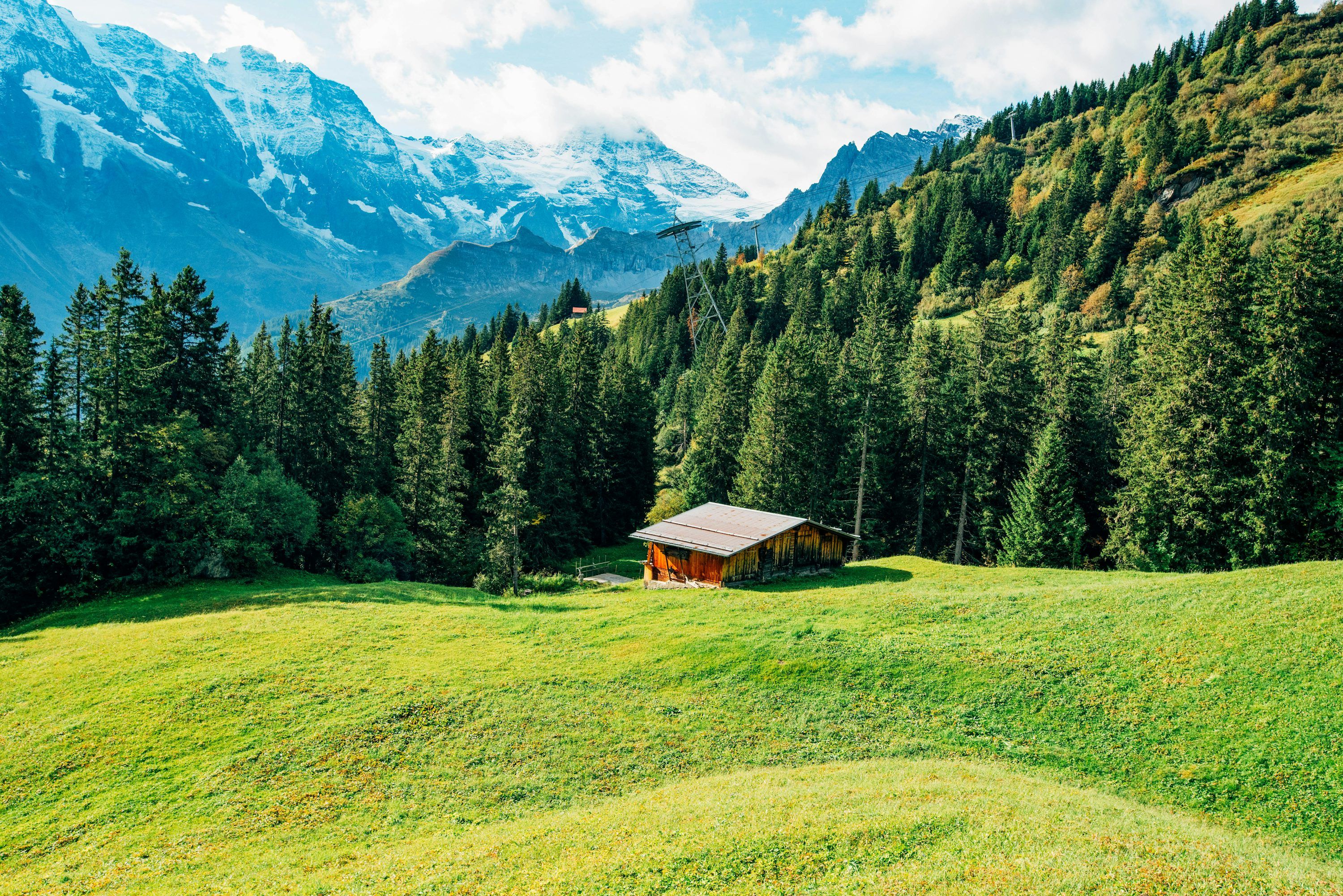 3000x2003 A small house in a grassy field with trees and mountains in the background photo