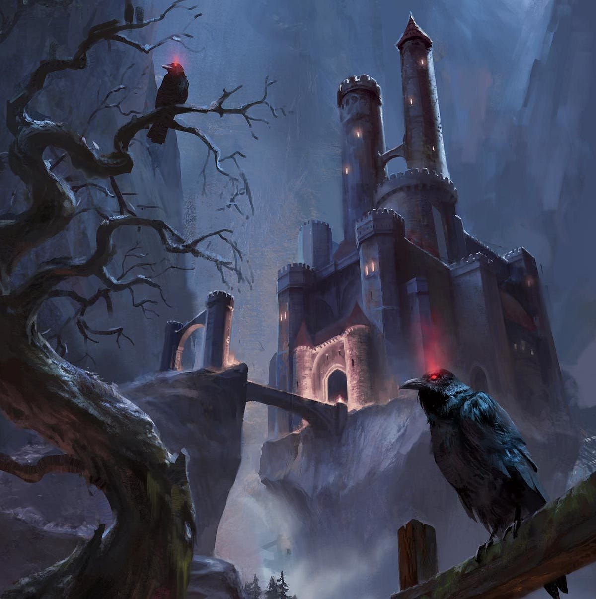 1200x1206 Gallery & Resources