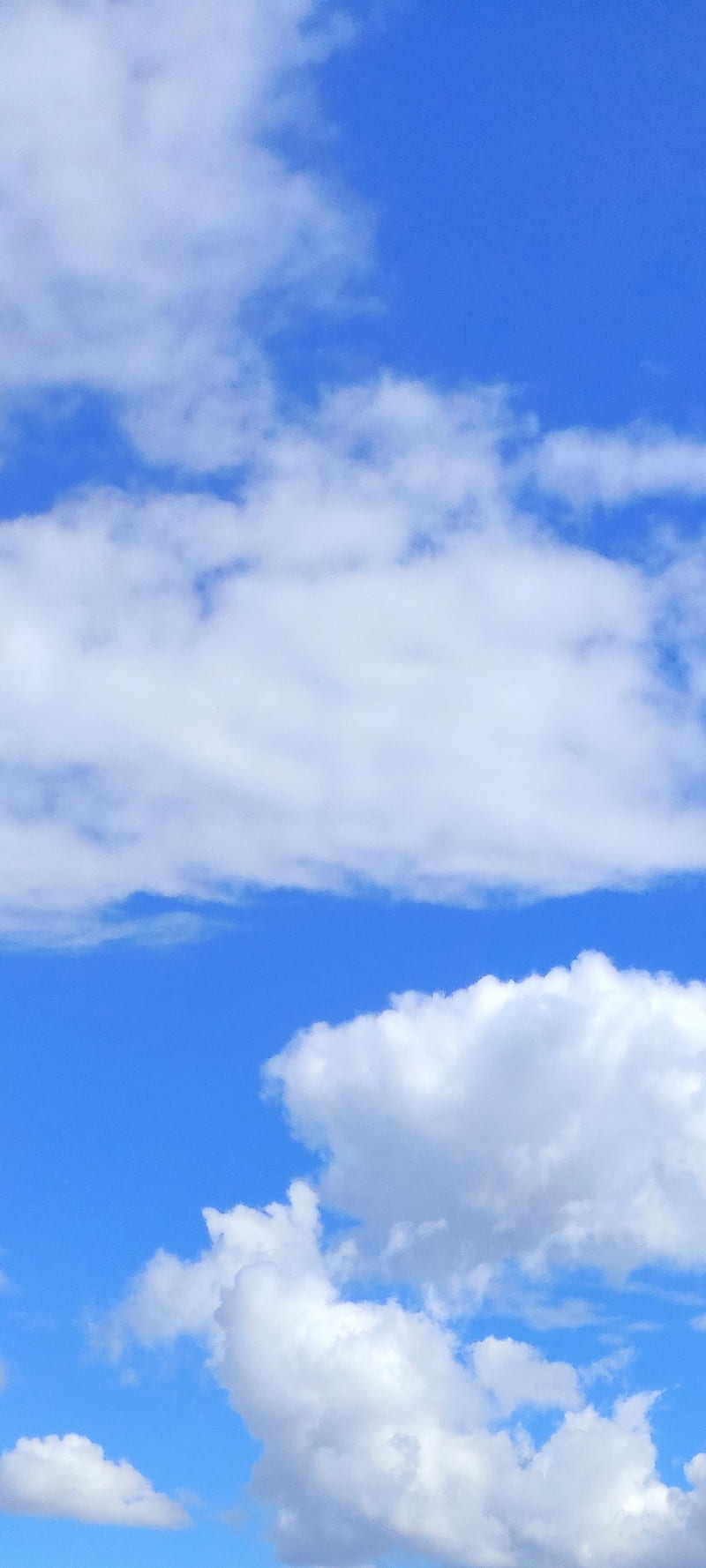 800x1778 Cloud, cumulus, nimbus, nuvem, nuvens, HD phone wallpaper