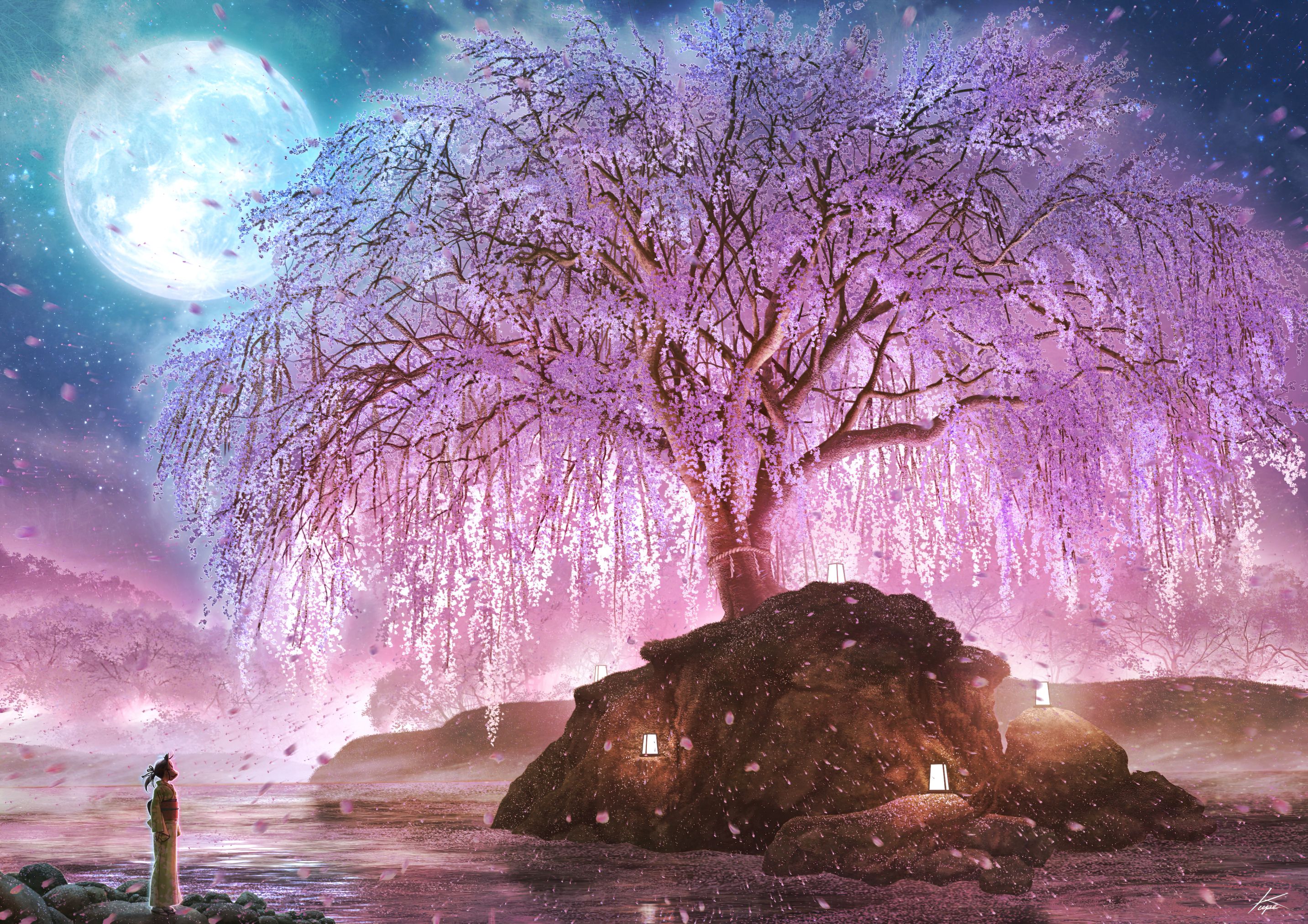 2866x2026 Download Night Sakura Cherry Blossom Moon Anime Tree Anime Night HD Wallpaper