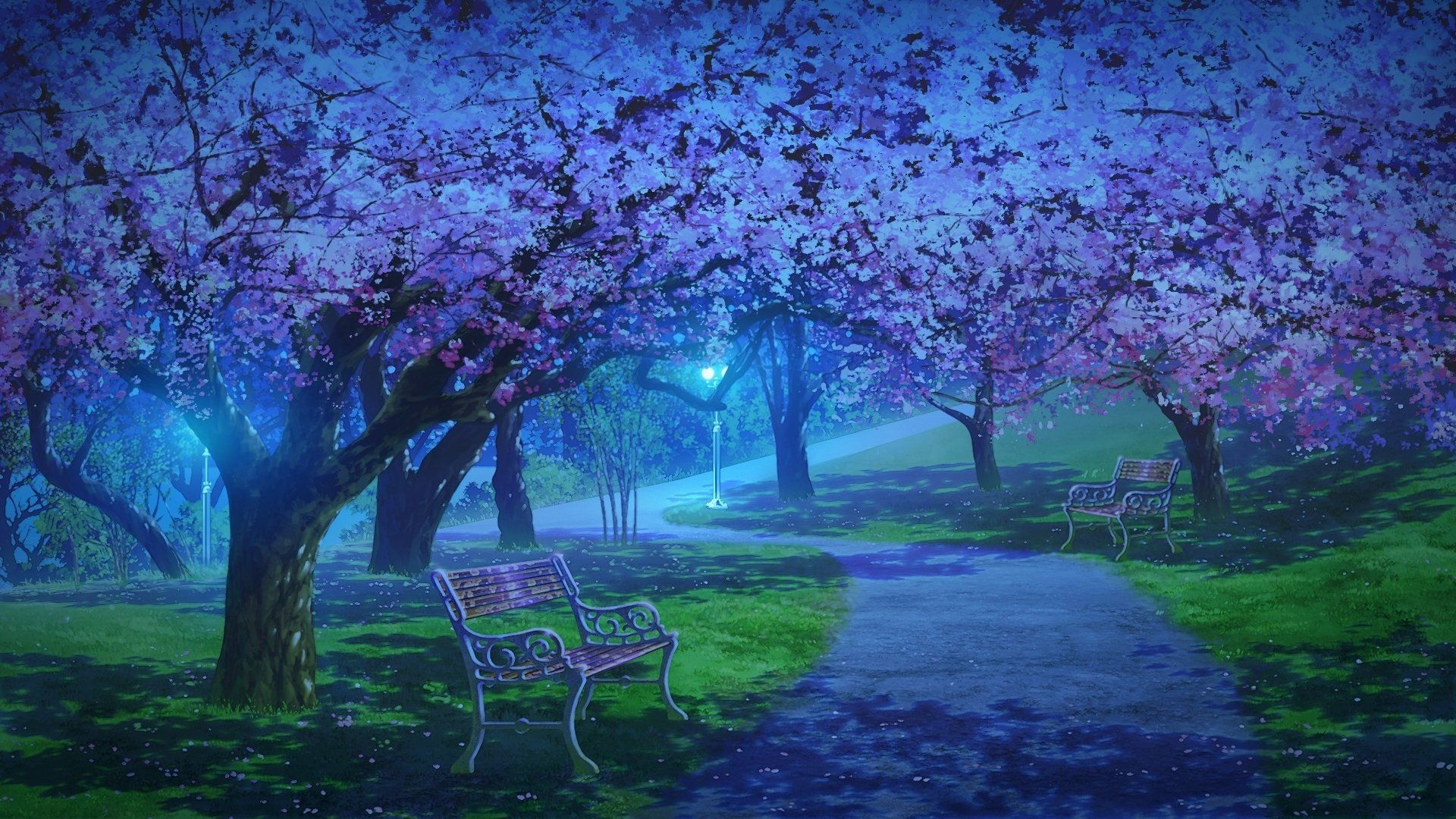 1920x1080 Enchanted Sakura Night: Spring Path in Anime HD