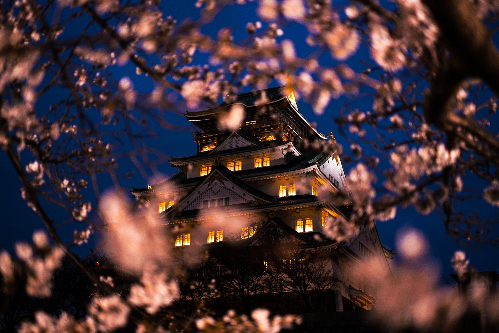 2048x1365 Osaka Castle and cherry blossoms by night, I share my life in Japan on Instagram : axou_in_japan