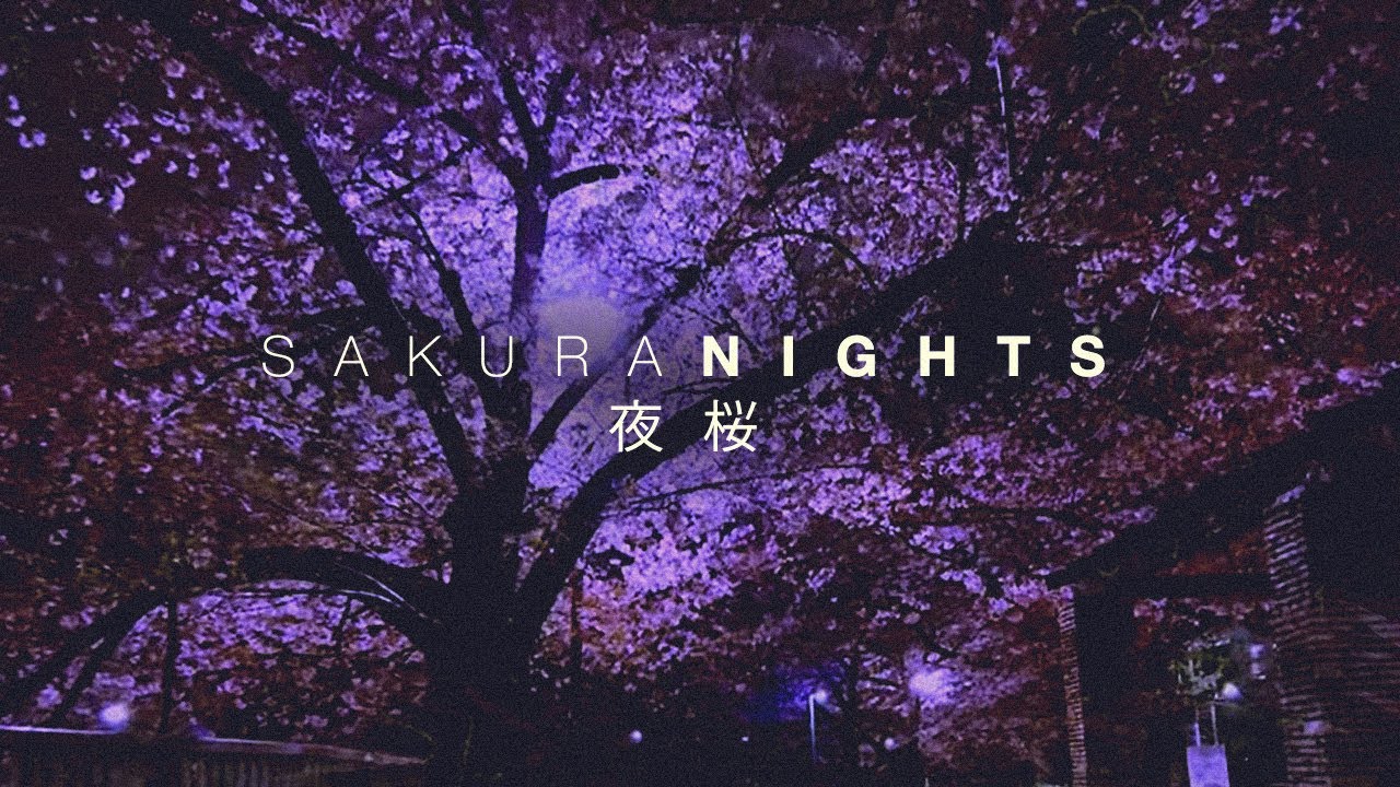 1280x720 [4K TOKYO SAKURA (桜). Tokyo Cherry Blossom at Night Walk Tour