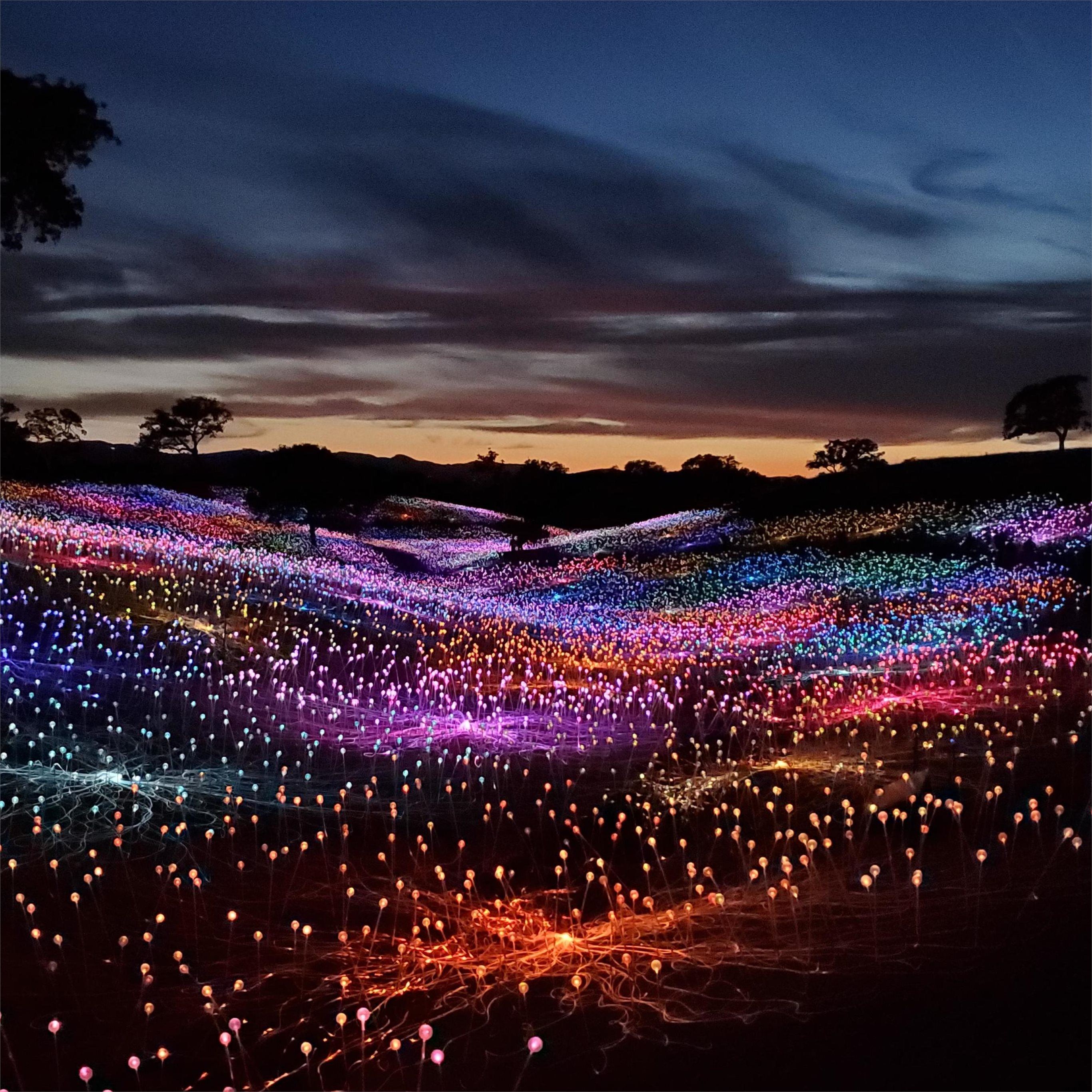 2732x2732 field of light at sensorio paso robles valley iPad Pro Wallpaper Free Download