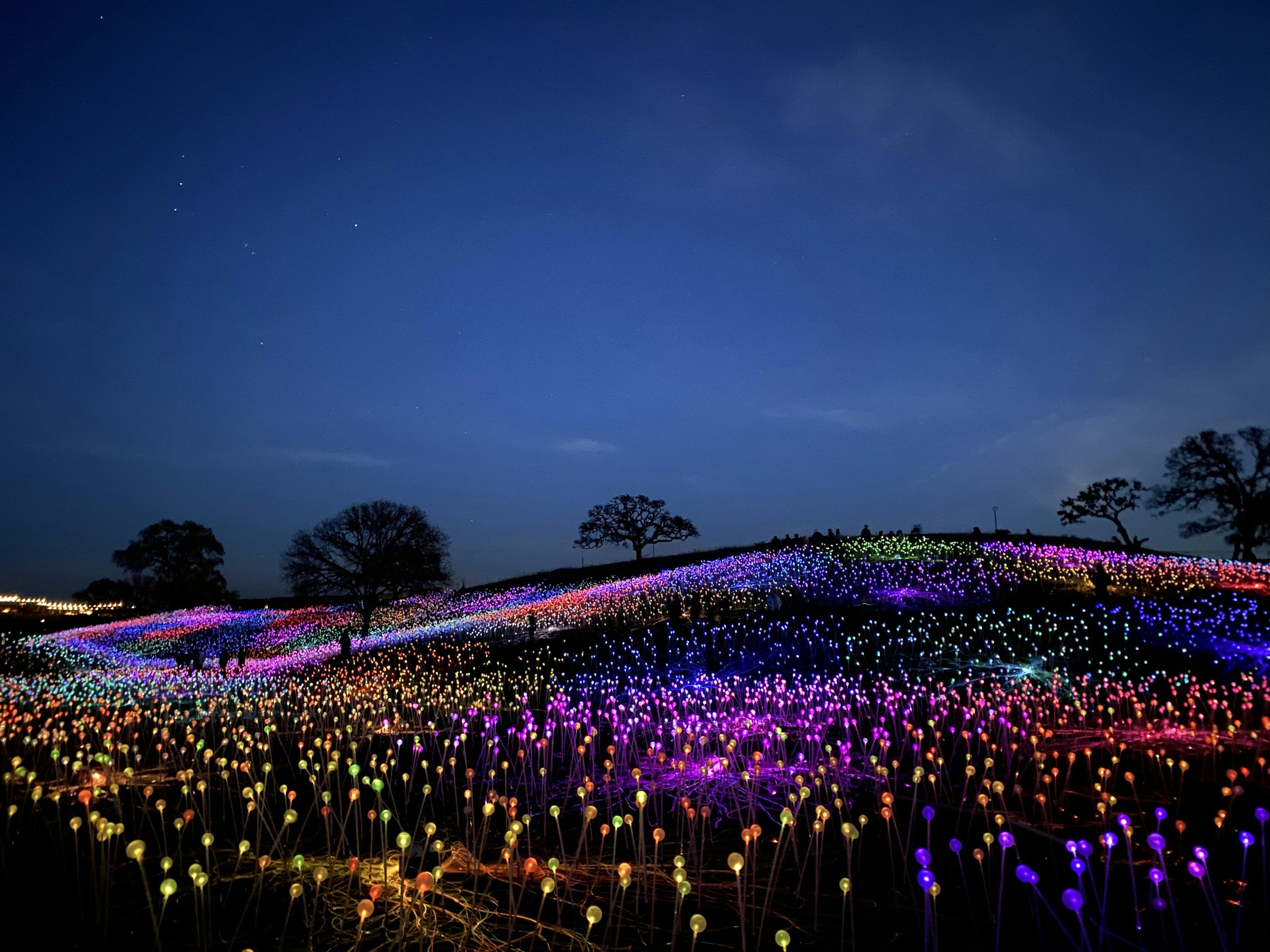 3000x2250 Paso Robles Picture. Download Free Image