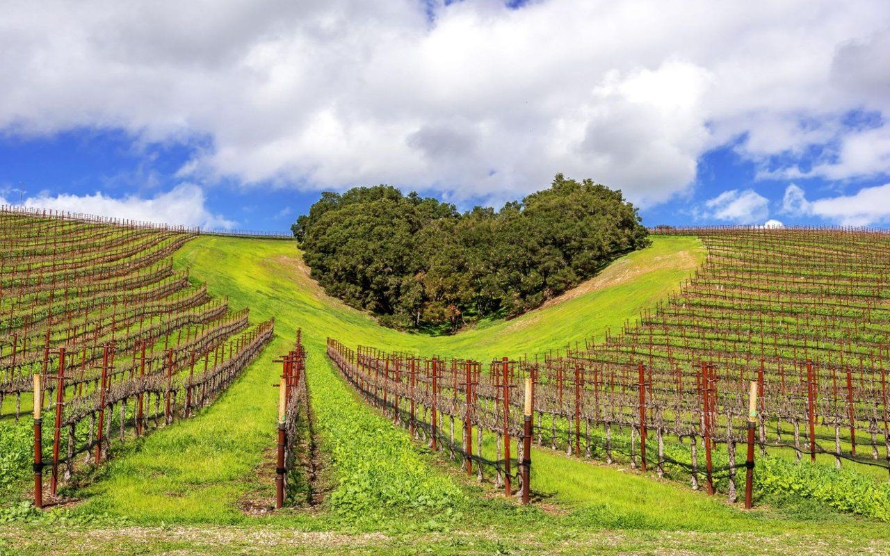 1280x800 Exploring Paso Robles Wine Country: The Best Scenic Drives and Hiking Trails