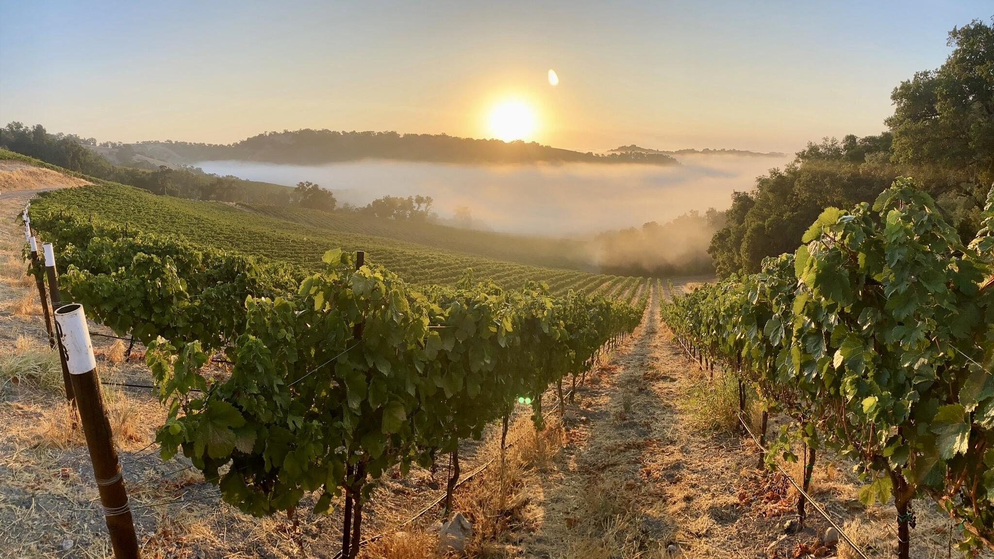 2048x1152 Vina Robles Vineyards Winery. Paso Robles Wineries