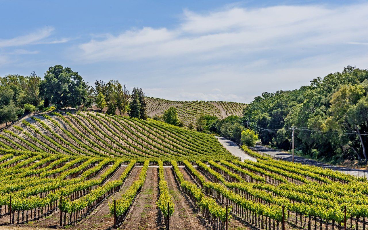1280x800 Paso Robles. Community Guide. Country Real Estate