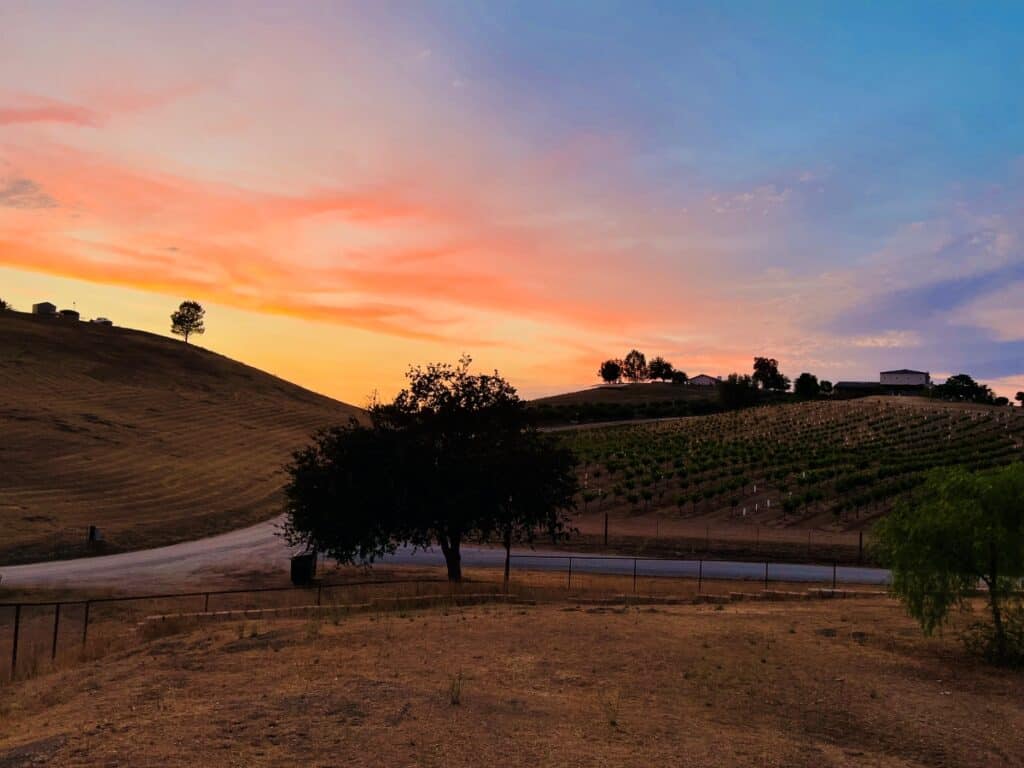1024x768 Wine Fest Paso Robles Wine Country Alliance Eos Winery Vineyards At Sunset View From Wine Country