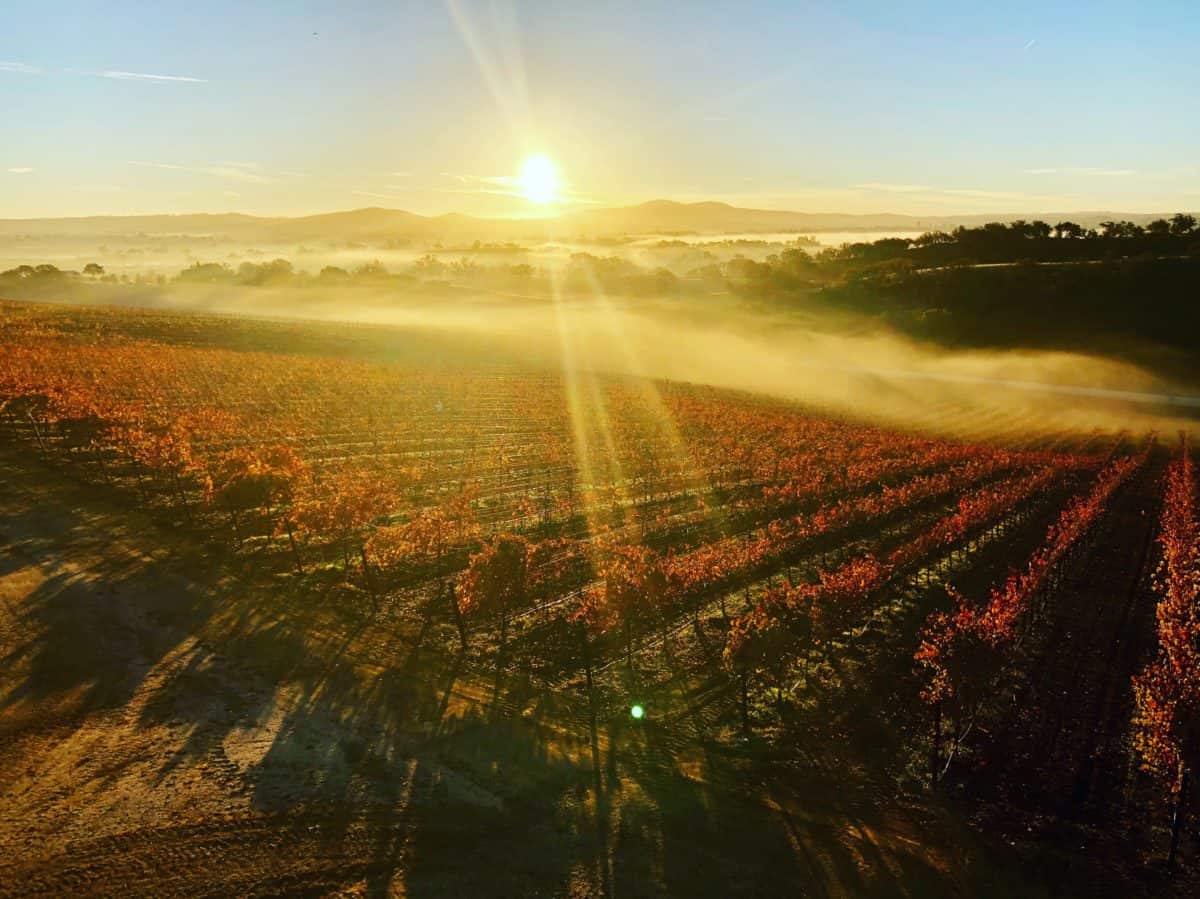 1200x899 Reasons You Should Wine Taste in Paso Robles vs. Napa Valley Robles Wineries