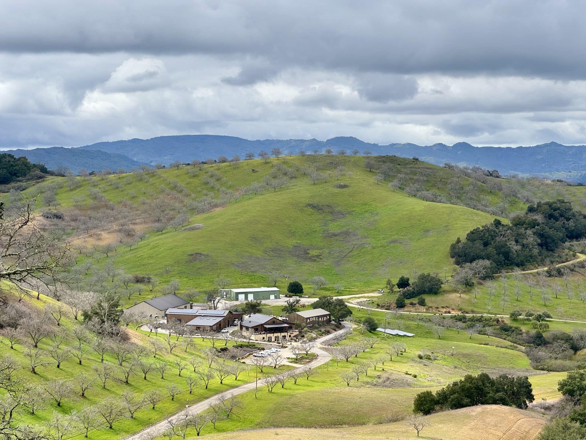2048x1536 unexpected discoveries on a trip to Paso Robles