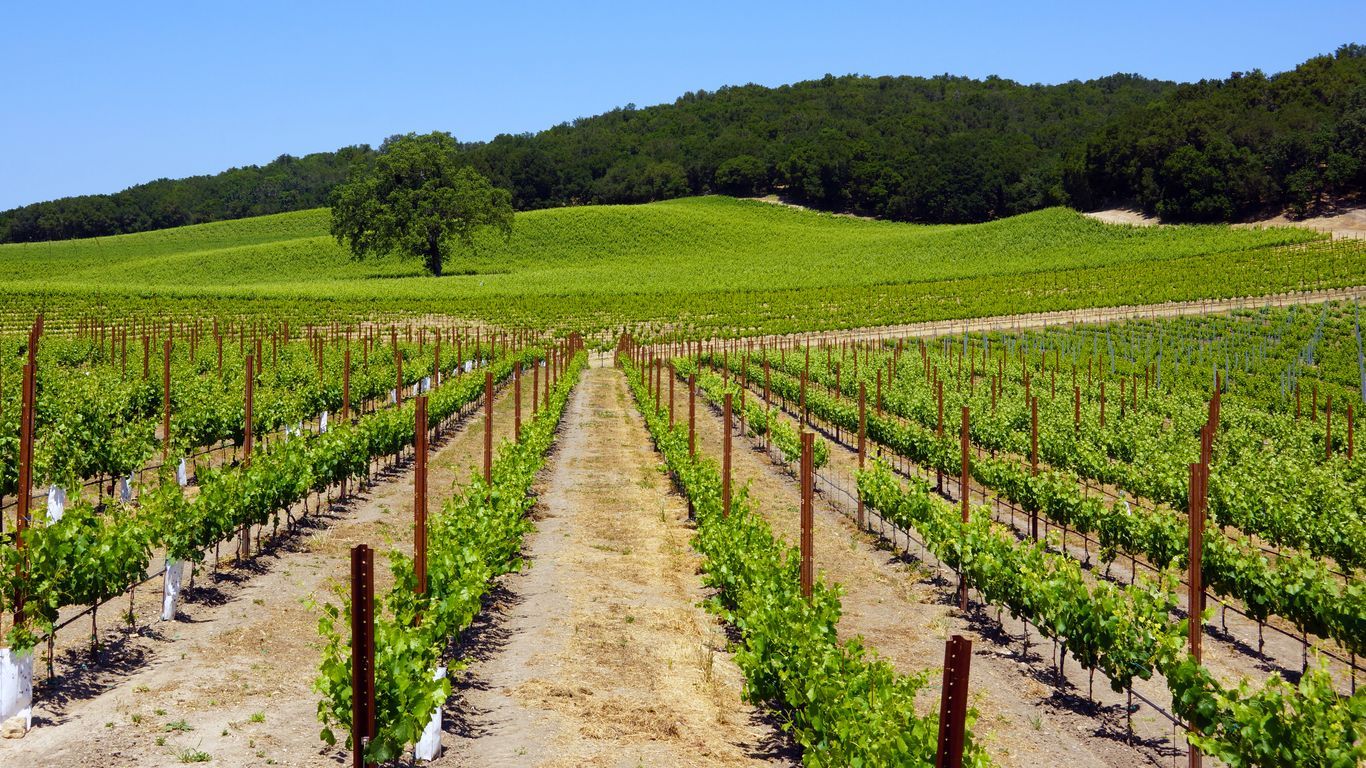 1366x768 Paso Robles Travel Guide. Paso Robles Tourism