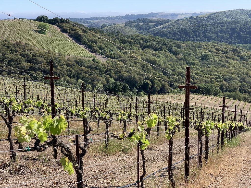 1024x768 Top Wineries in Paso Robles