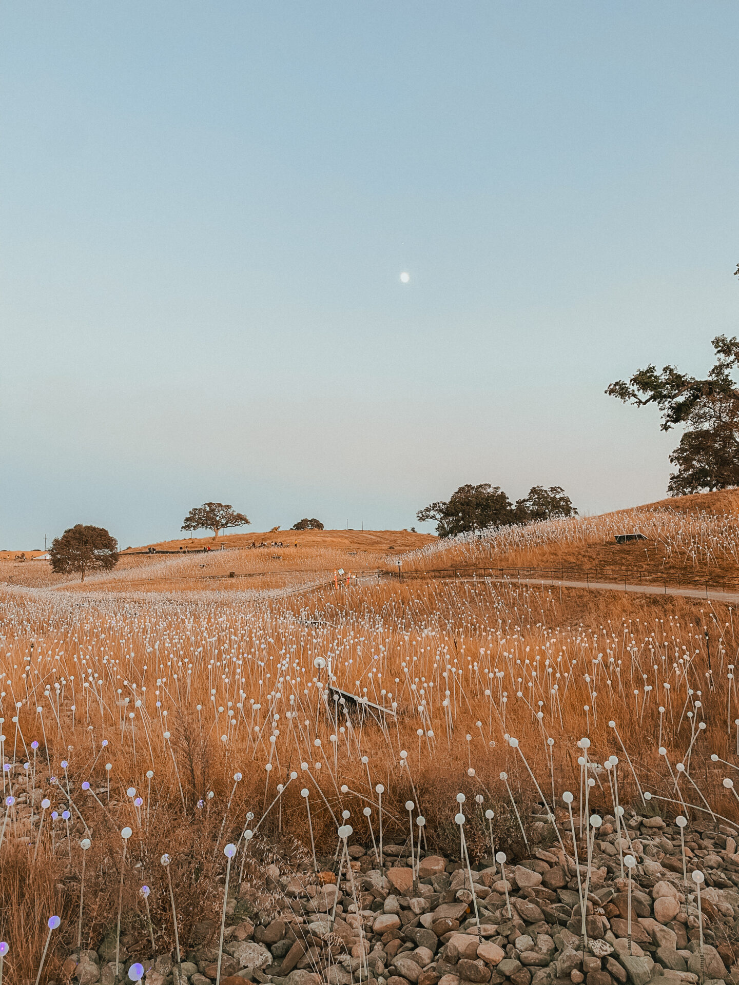 1440x1920 Bay Area Weekend Itinerary: Your Itinerary for visiting Paso Robles