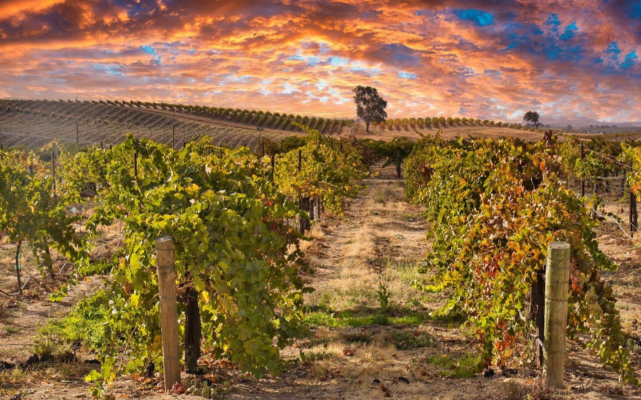 1280x800 Paso Robles Real Estate Guide & Homes