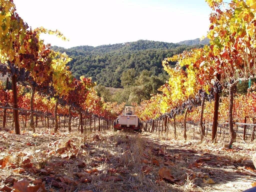 1024x768 Paso Robles Wineries. THE ULTIMATE WINERY VISITORS GUIDE 2019