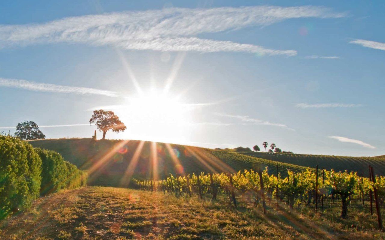 1280x800 Paso Robles Real Estate