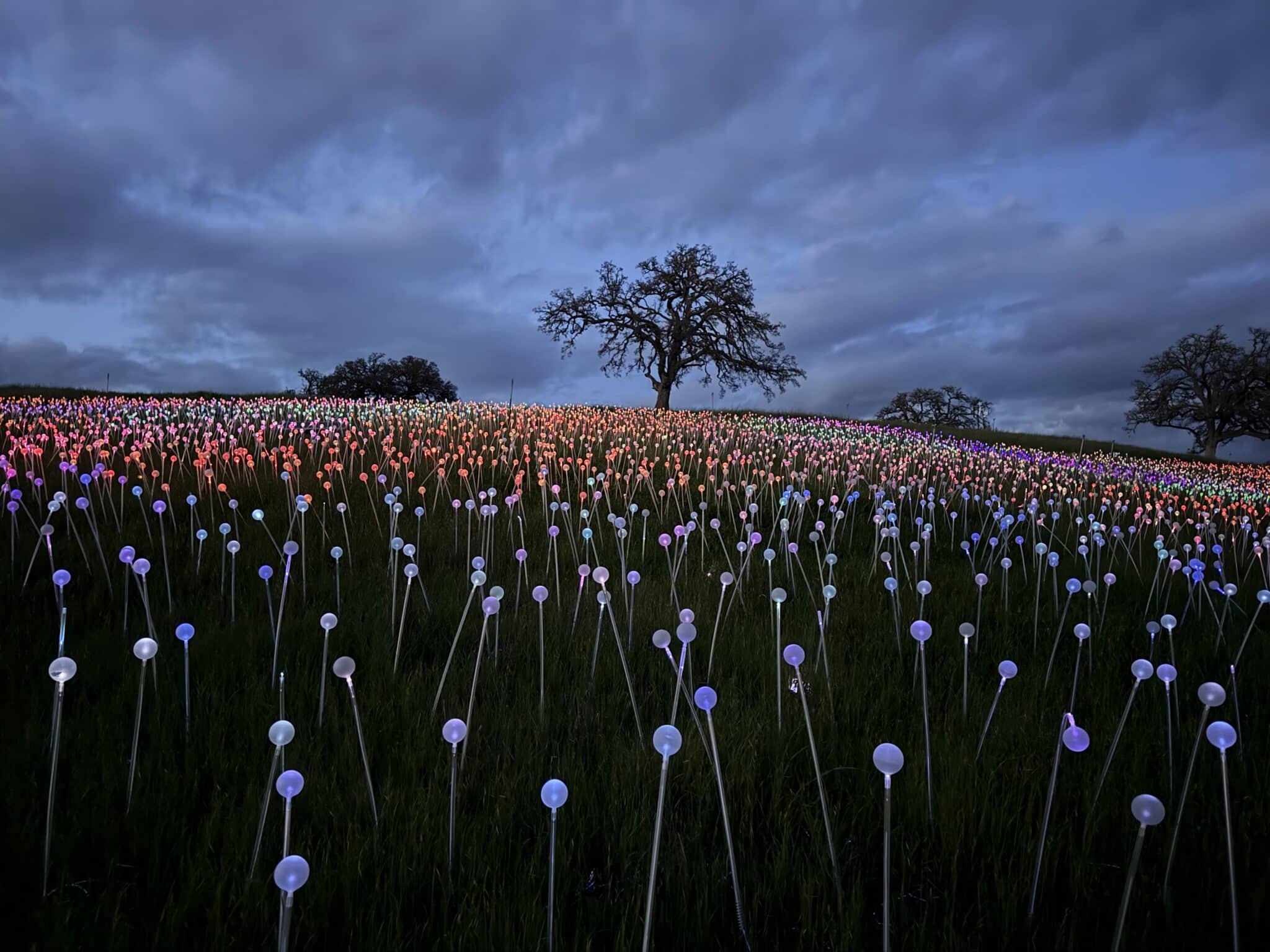 2048x1536 unexpected discoveries on a trip to Paso Robles