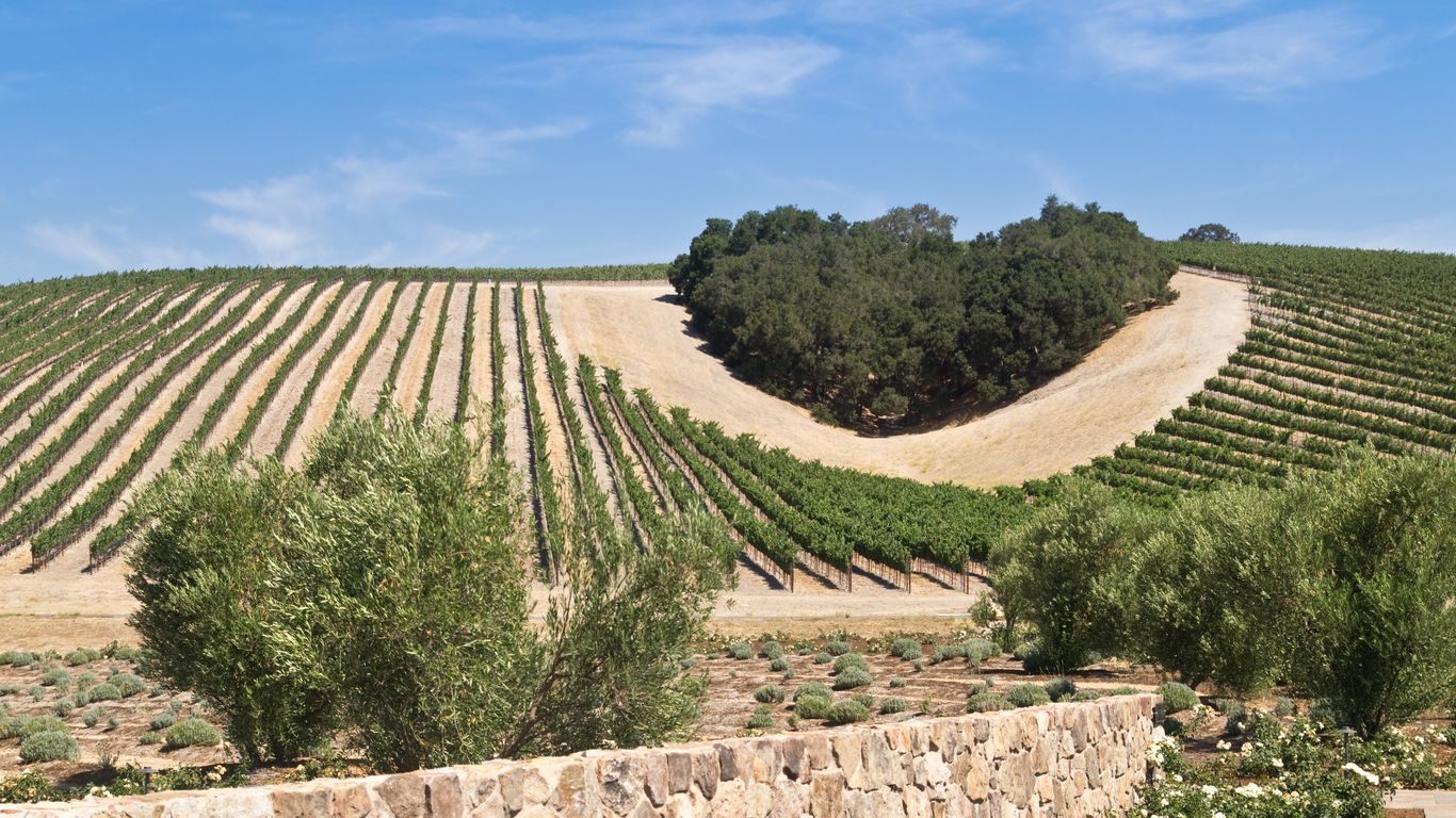 1366x768 Best Hotels In Paso Robles. Hotels From $75 Night