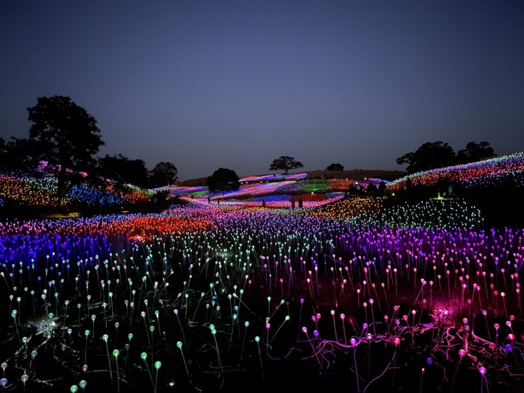 1024x768 Your Guide to Sensorio: Paso Robles' Field of Lights
