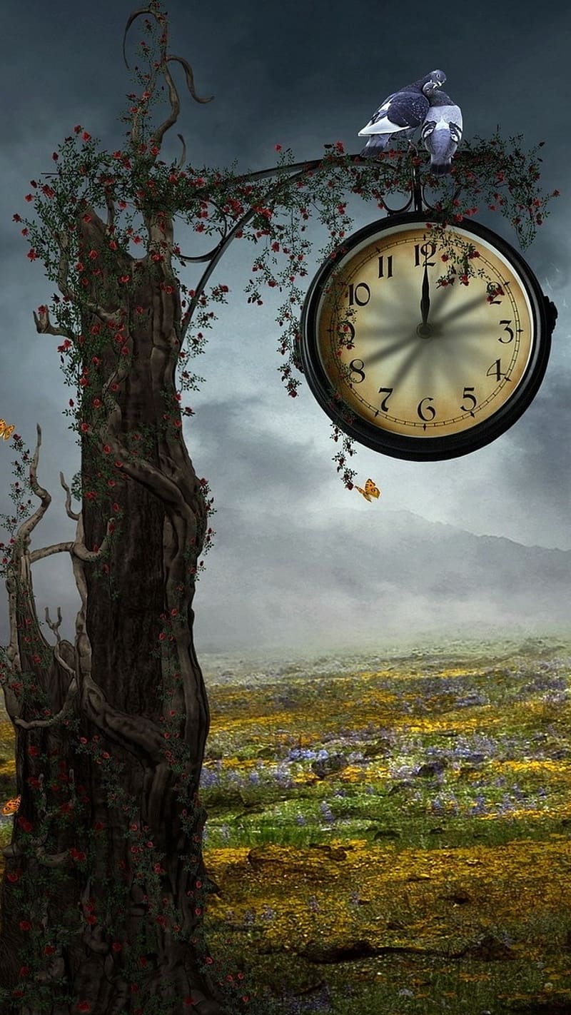 800x1422 Clock Hang On Tree, clock, hang on tree, view, HD phone wallpaper