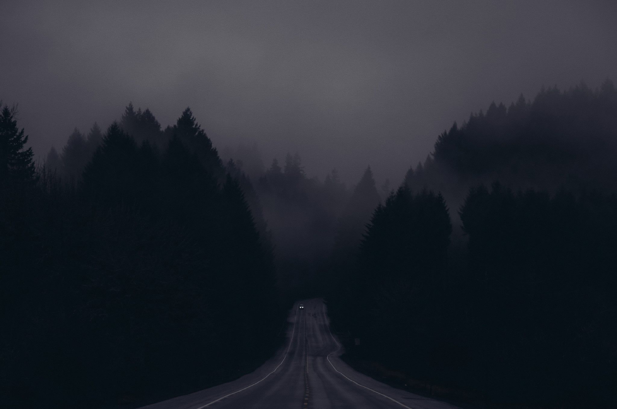 2048x1357 Dark Forest, Dim Lights [2560x1440]