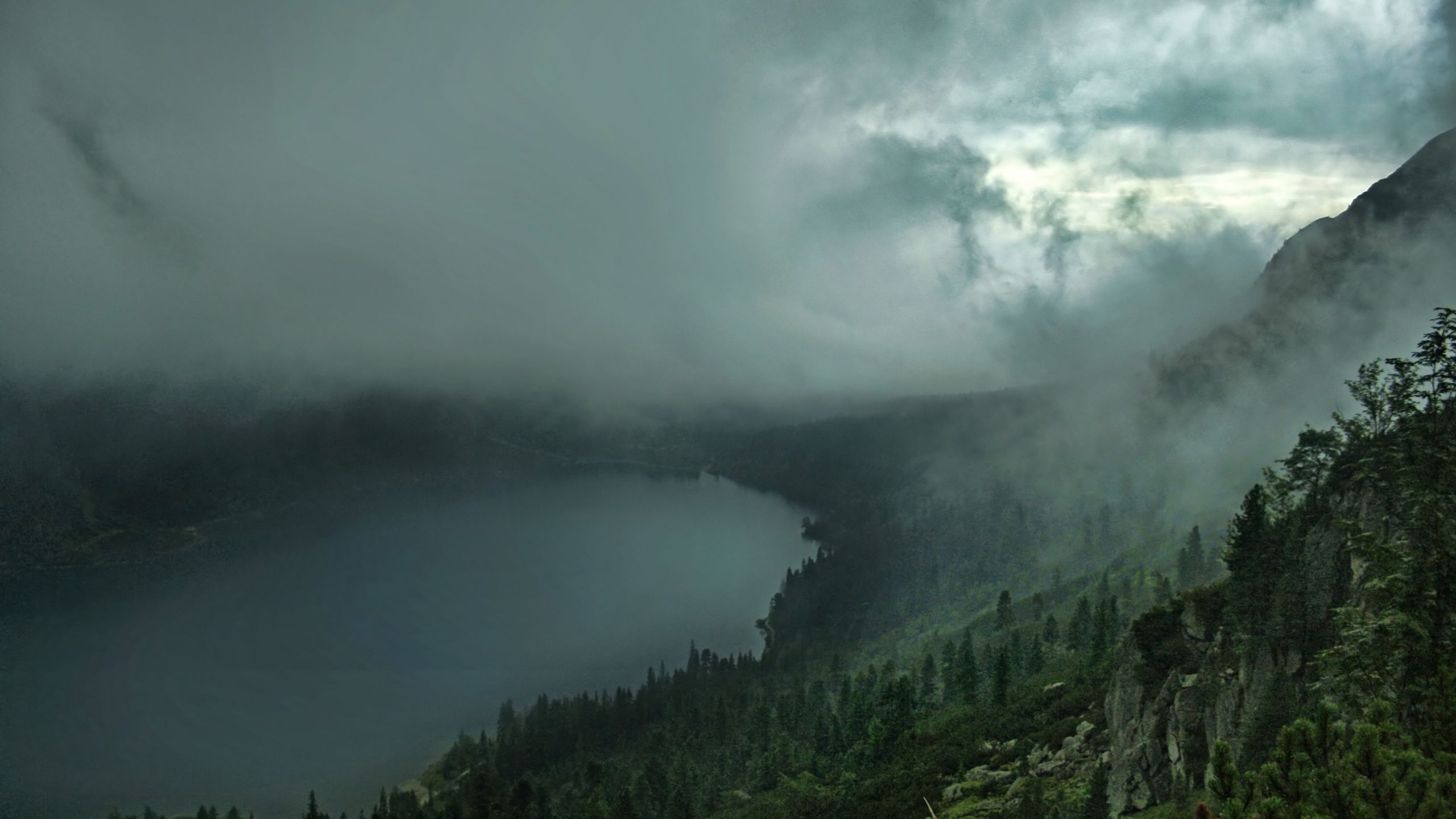 2560x1440 WQHD, QHD, 16:9 Dark Forest Wallpaper Free 2560x1440 High Quality Background