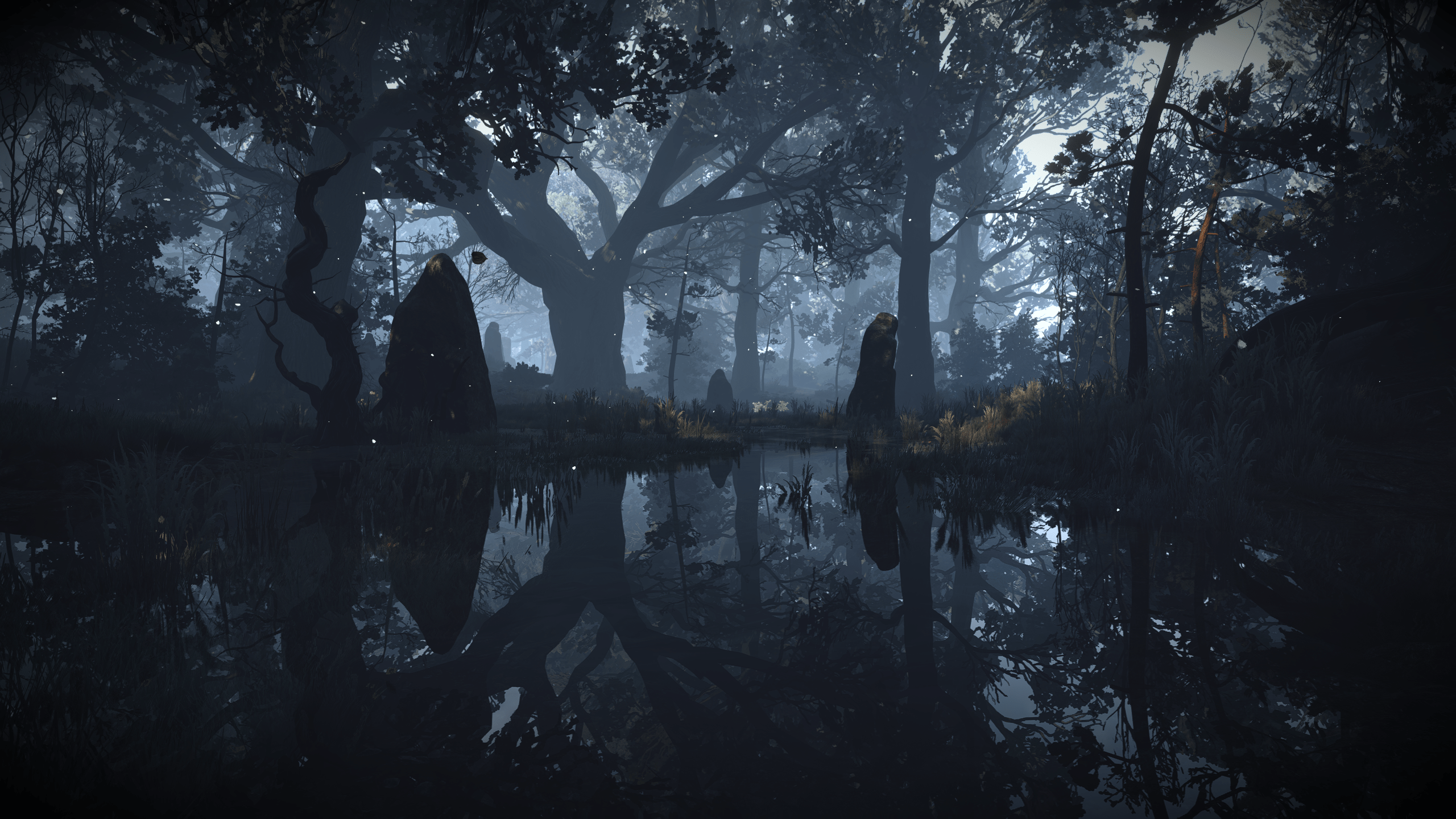 2560x1440 The Witcher 3 HD Wallpaper: Mystical Forest Shadows