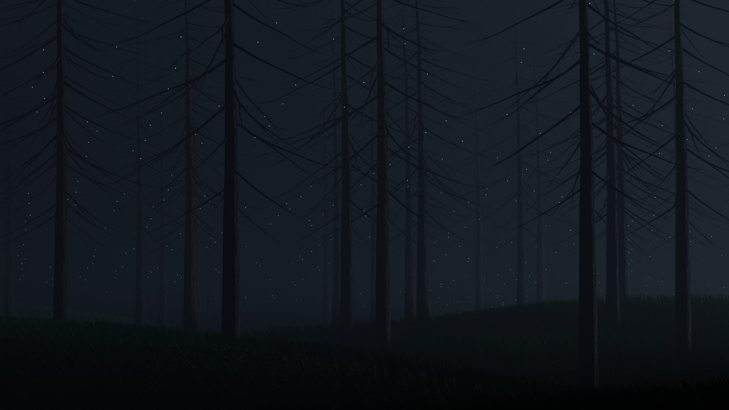 2560x1440 Foggy Midnight Forest [2560x1440] (Made in Blender, Cycles)