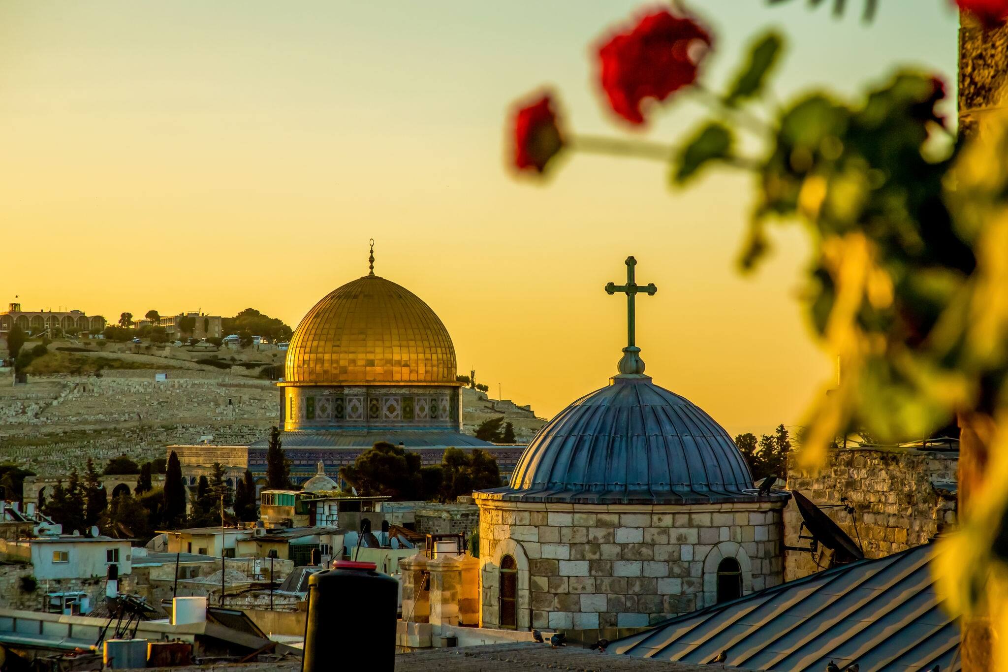2048x1365 Cruises to Jerusalem (Ashdod), Israel