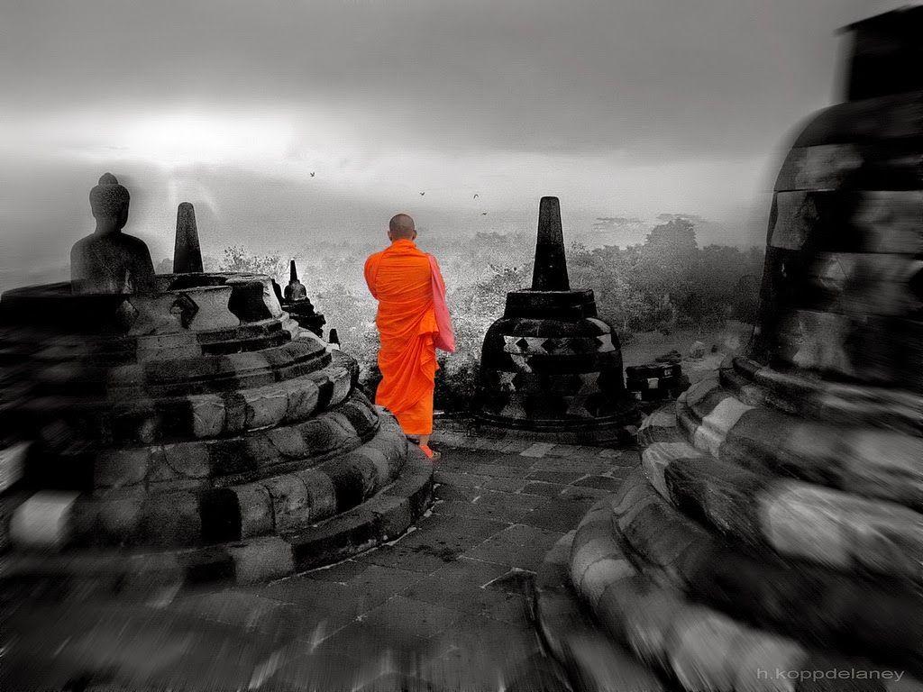 1024x768 Sakyadhita: Awakening Buddhist Women: Overcoming Doubt Through