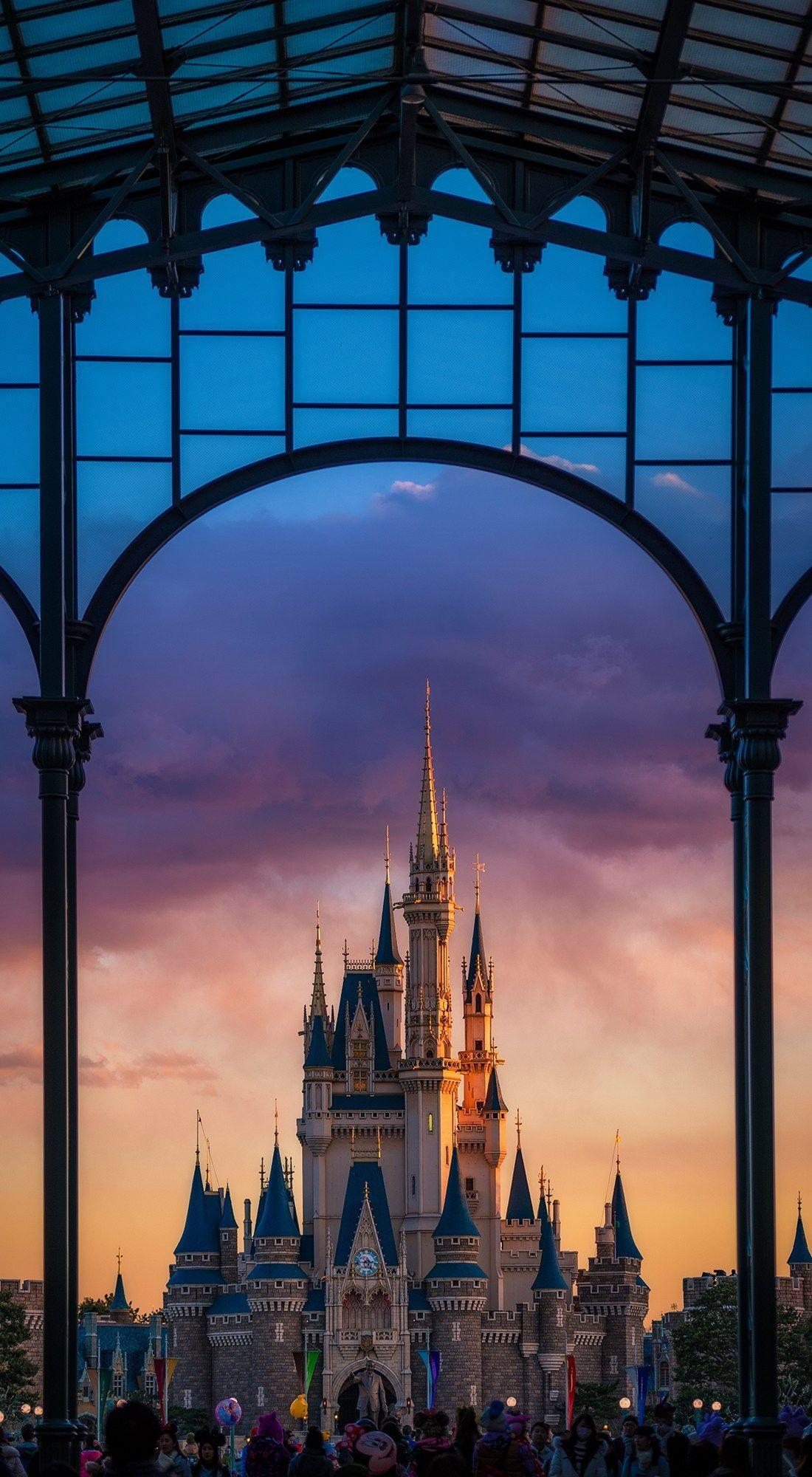 1100x2000 iPhone Wallpaper. Tokyo disneyland
